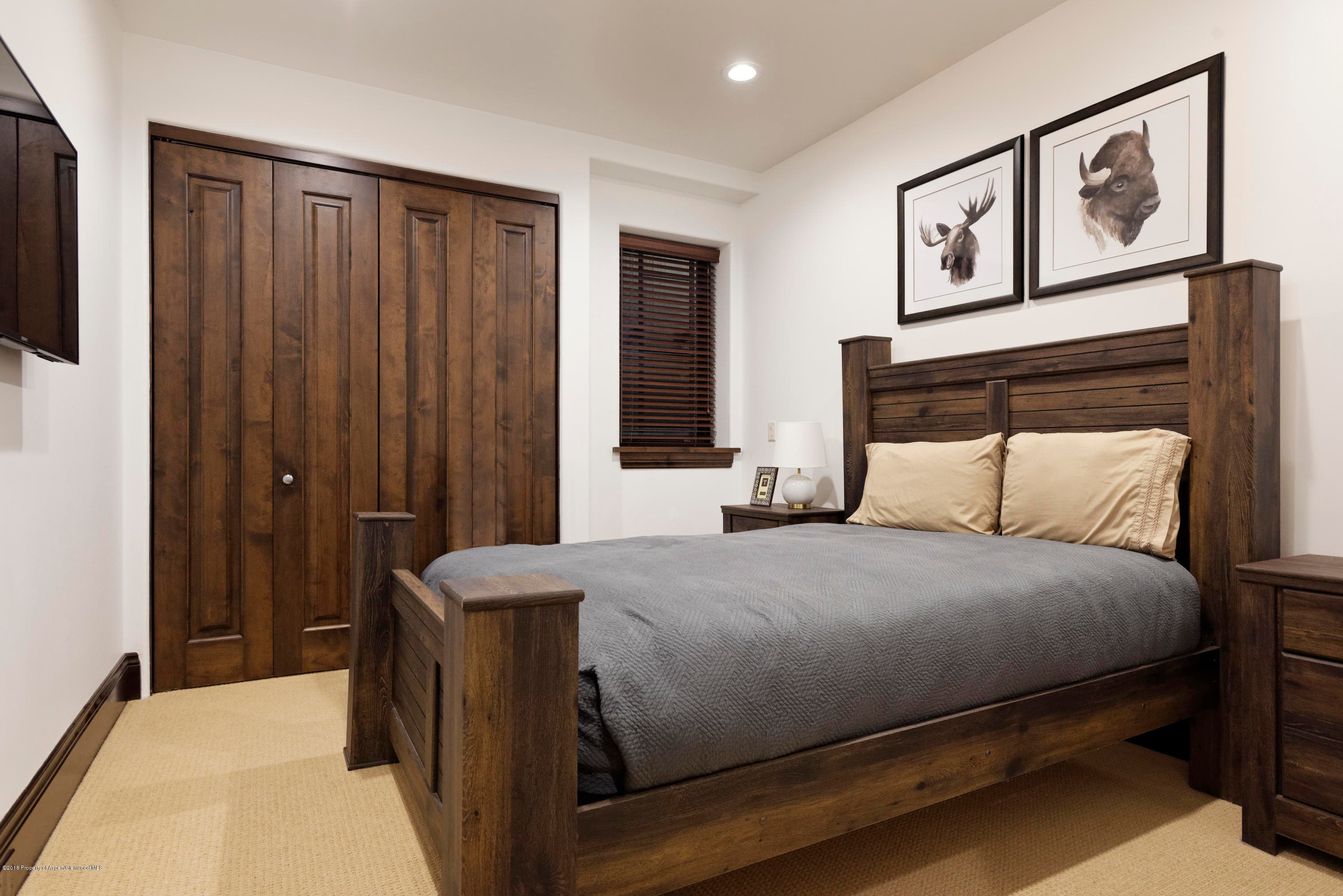 566 Race Street, Aspen, CO 81611 - Photo 13