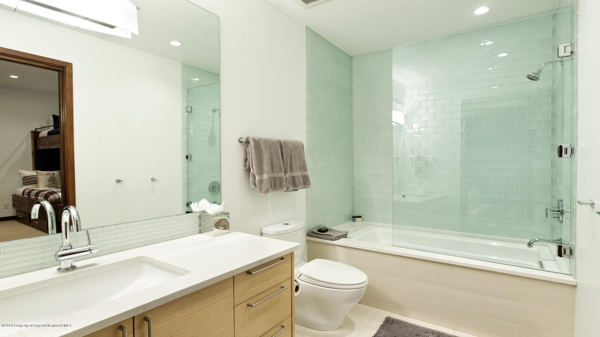 1291 Riverside Drive, Aspen, CO 81611 - Photo 16
