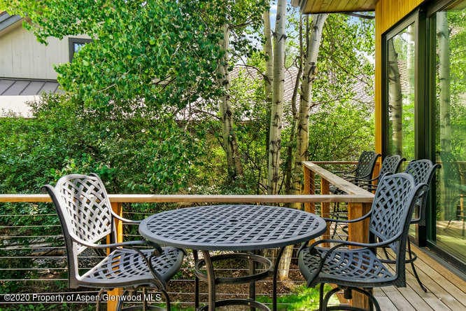 1250 Snowbunny Lane, Aspen, CO 81611 - Photo 10