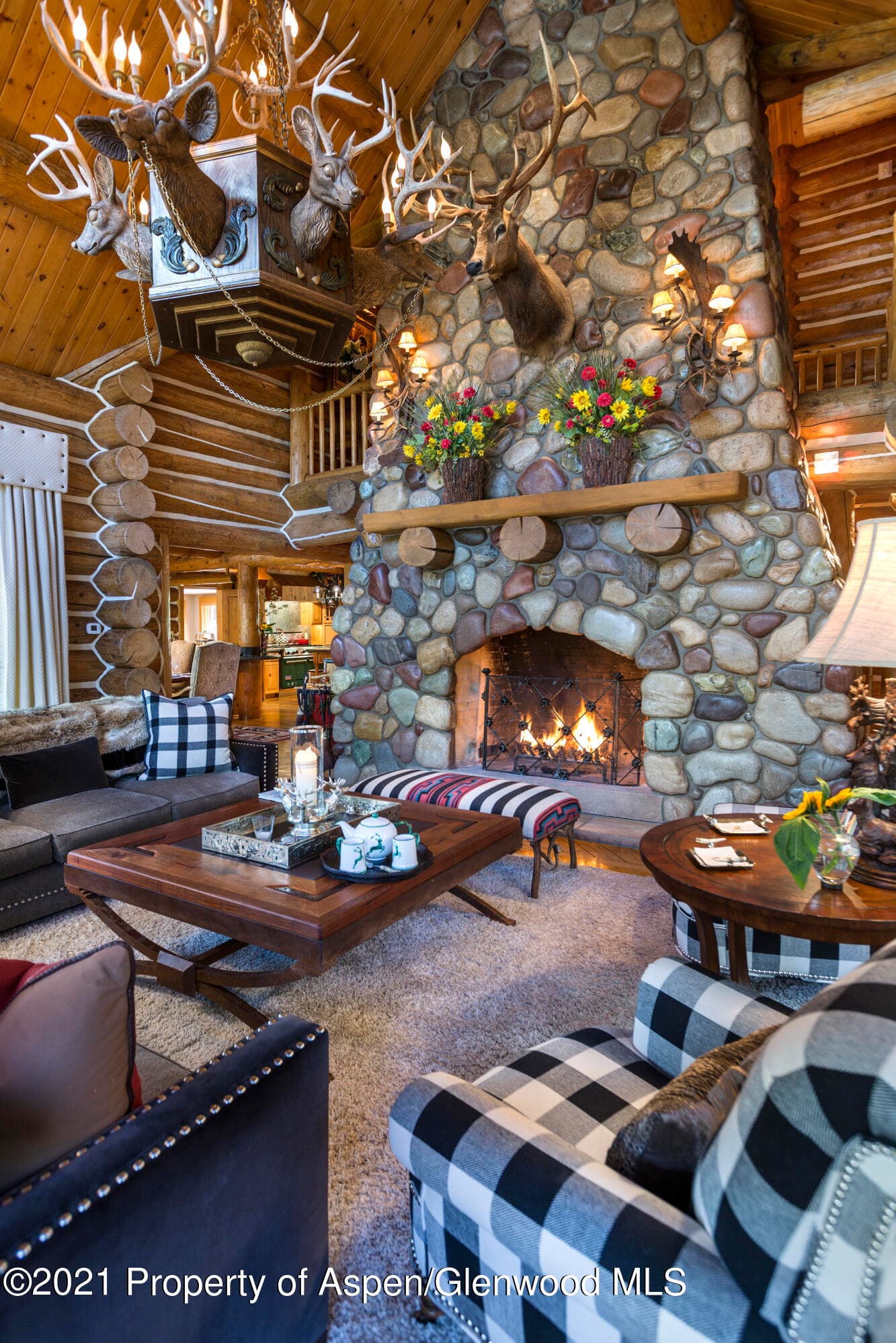 770 Twining Flats Rd, Woody Creek, CO 81656 - Photo 17