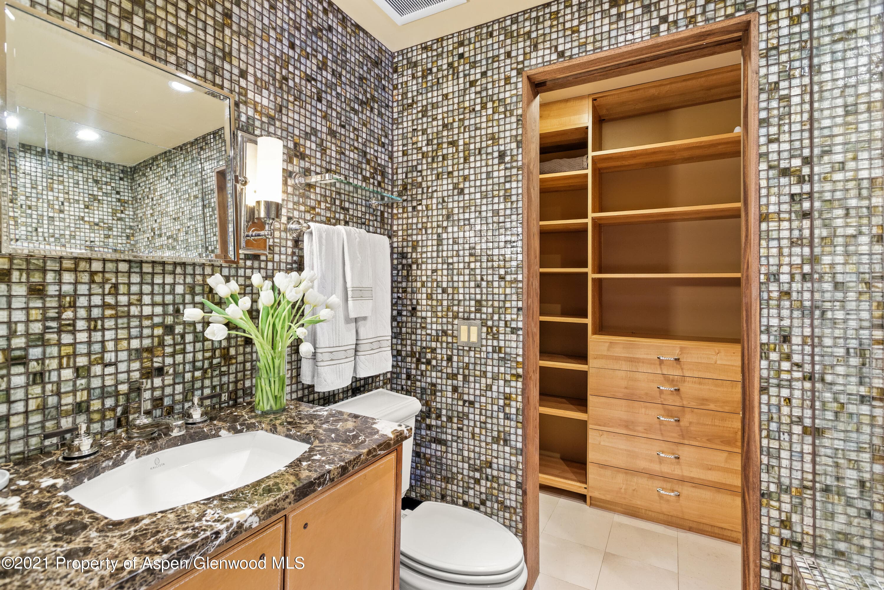 800 S Monarch Street #4, Aspen, CO 81611 - Photo 10