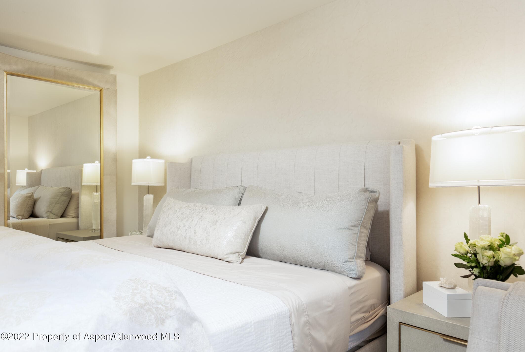 124 E Durant Avenue 2, Aspen, CO 81611 - Photo 12