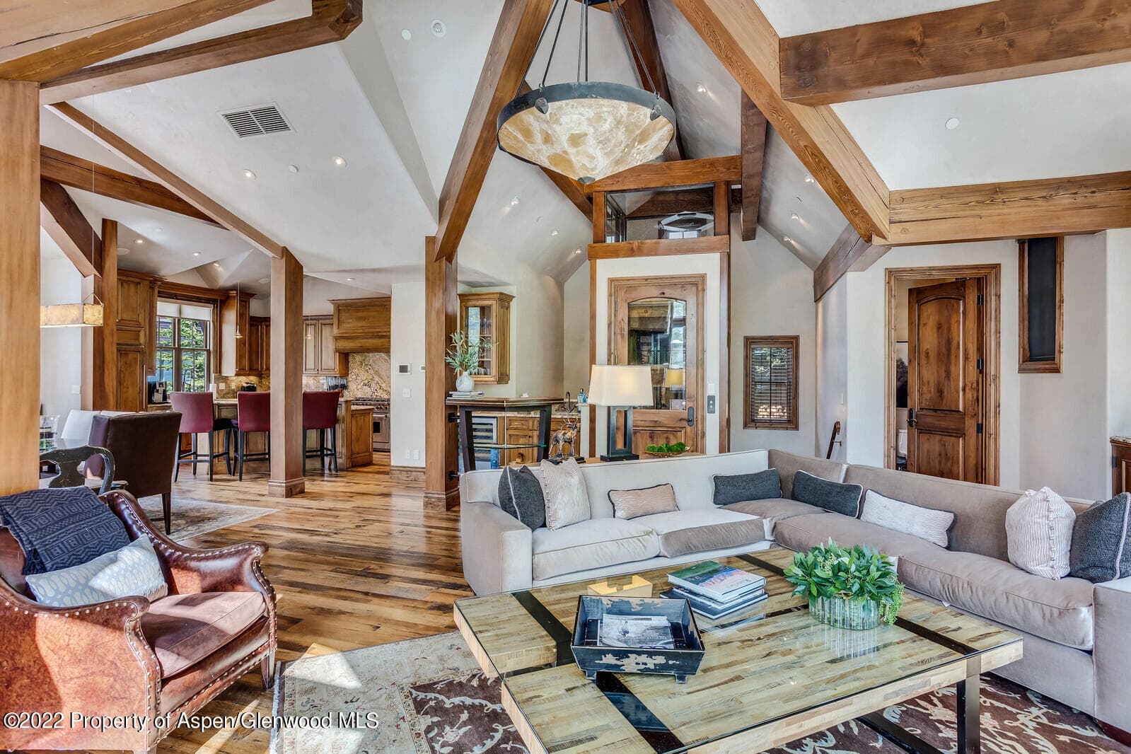 900 Waters Avenue, Aspen, CO 81611 - Photo 9