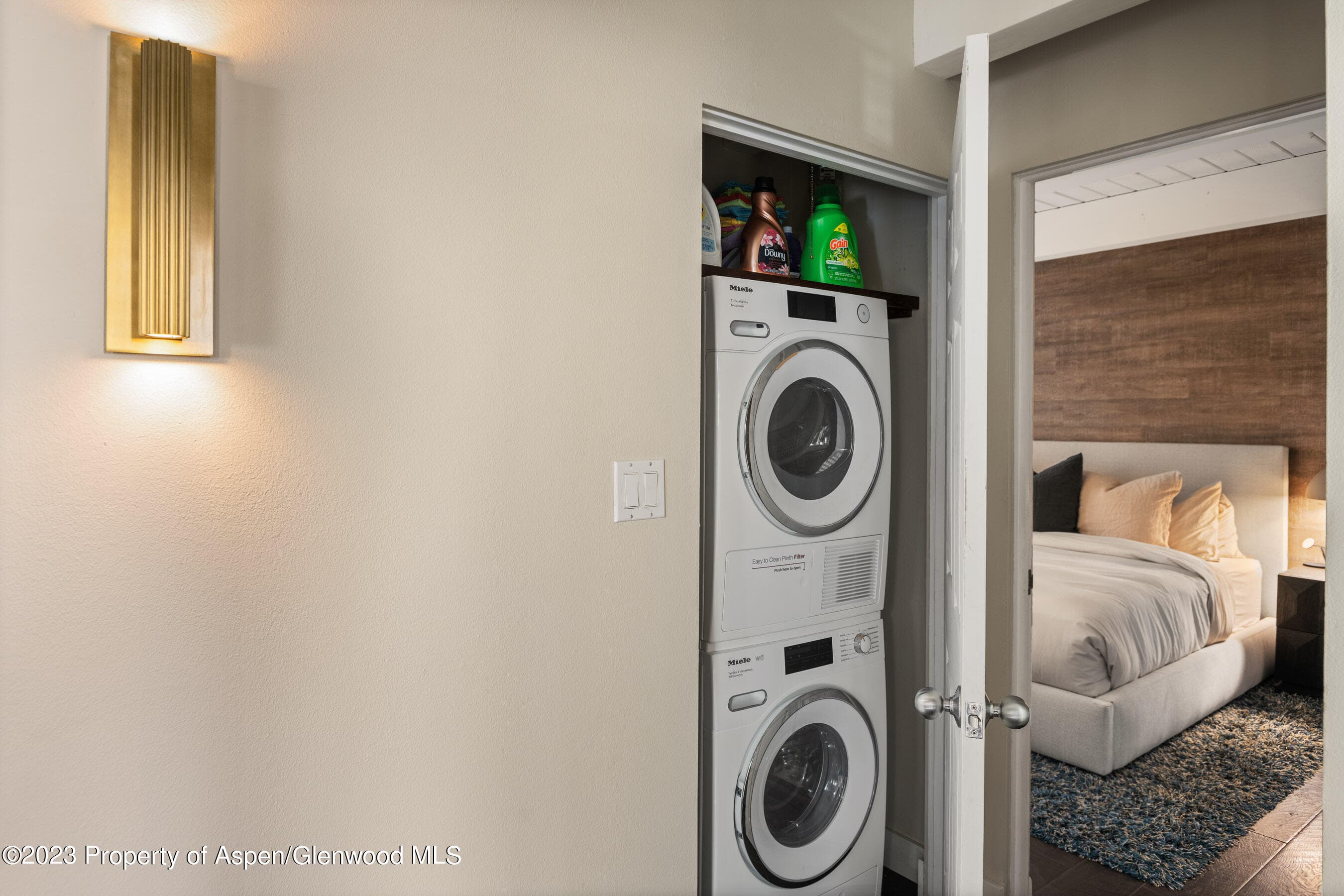 825 E Hopkins Avenue Unit 2N, Aspen, CO 81611 - Photo 21