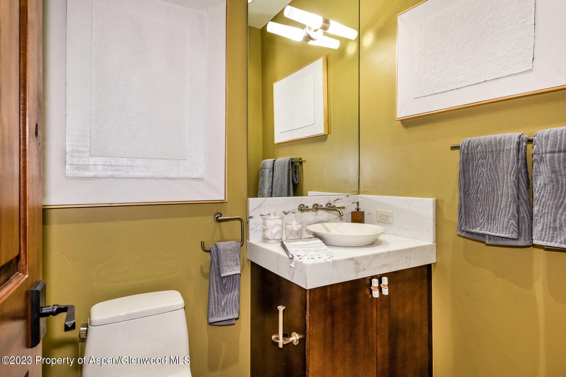 537 Race Street, Aspen, CO 81611 - Photo 24
