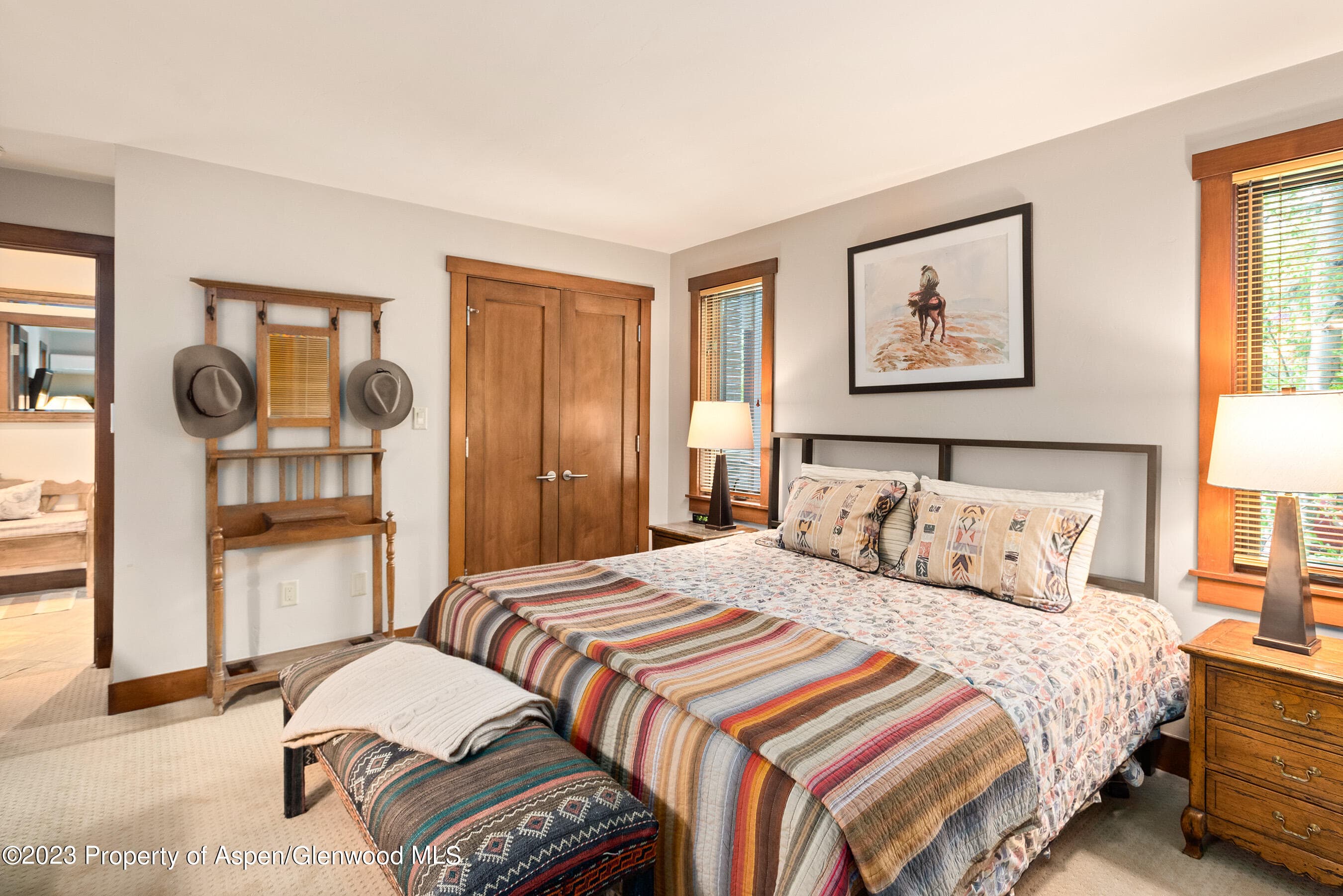 917 E Durant Avenue, Aspen, CO 81611 - Photo 14