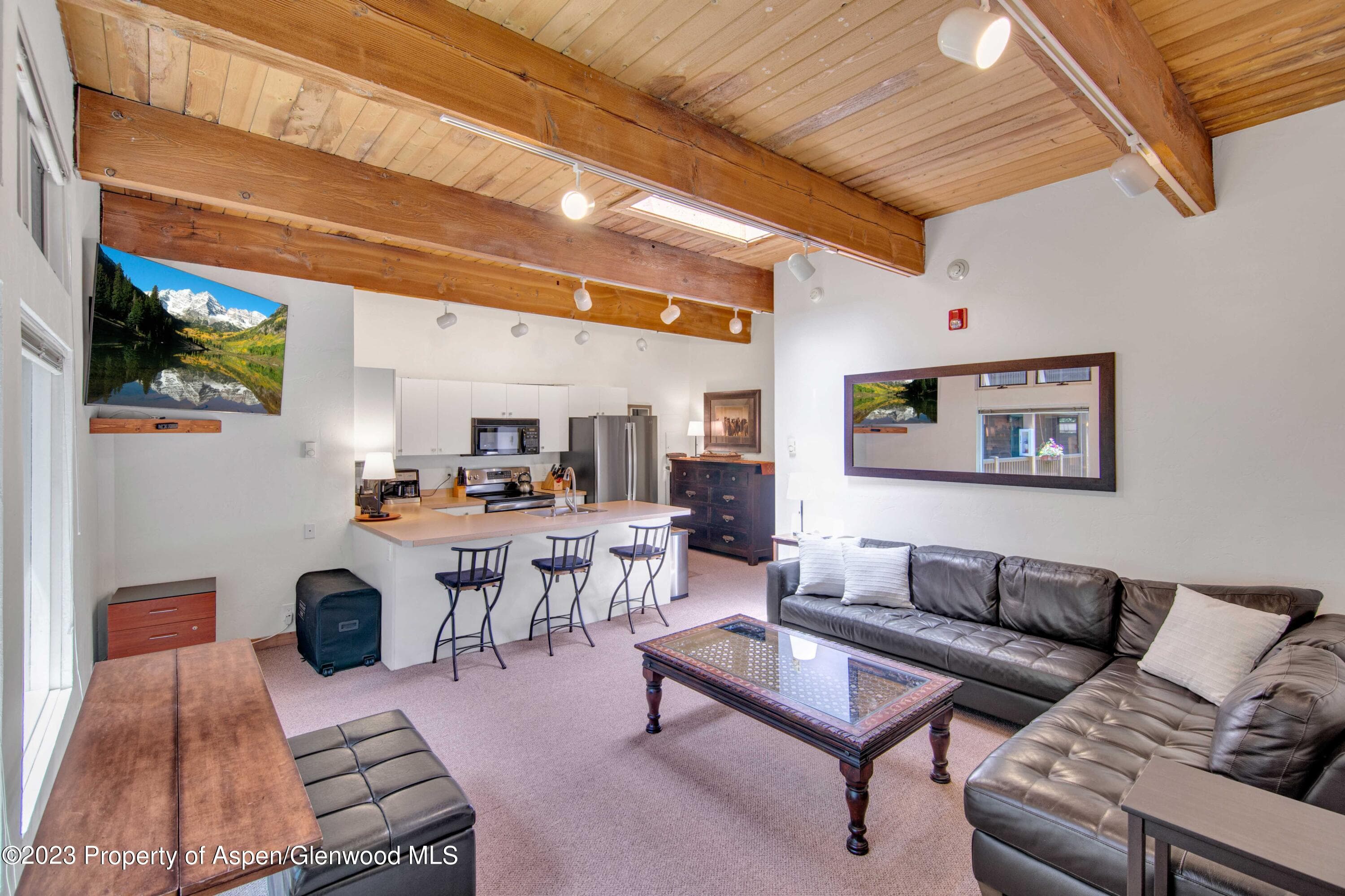 914 Waters Avenue 21, Aspen, CO 81611 - Photo 7