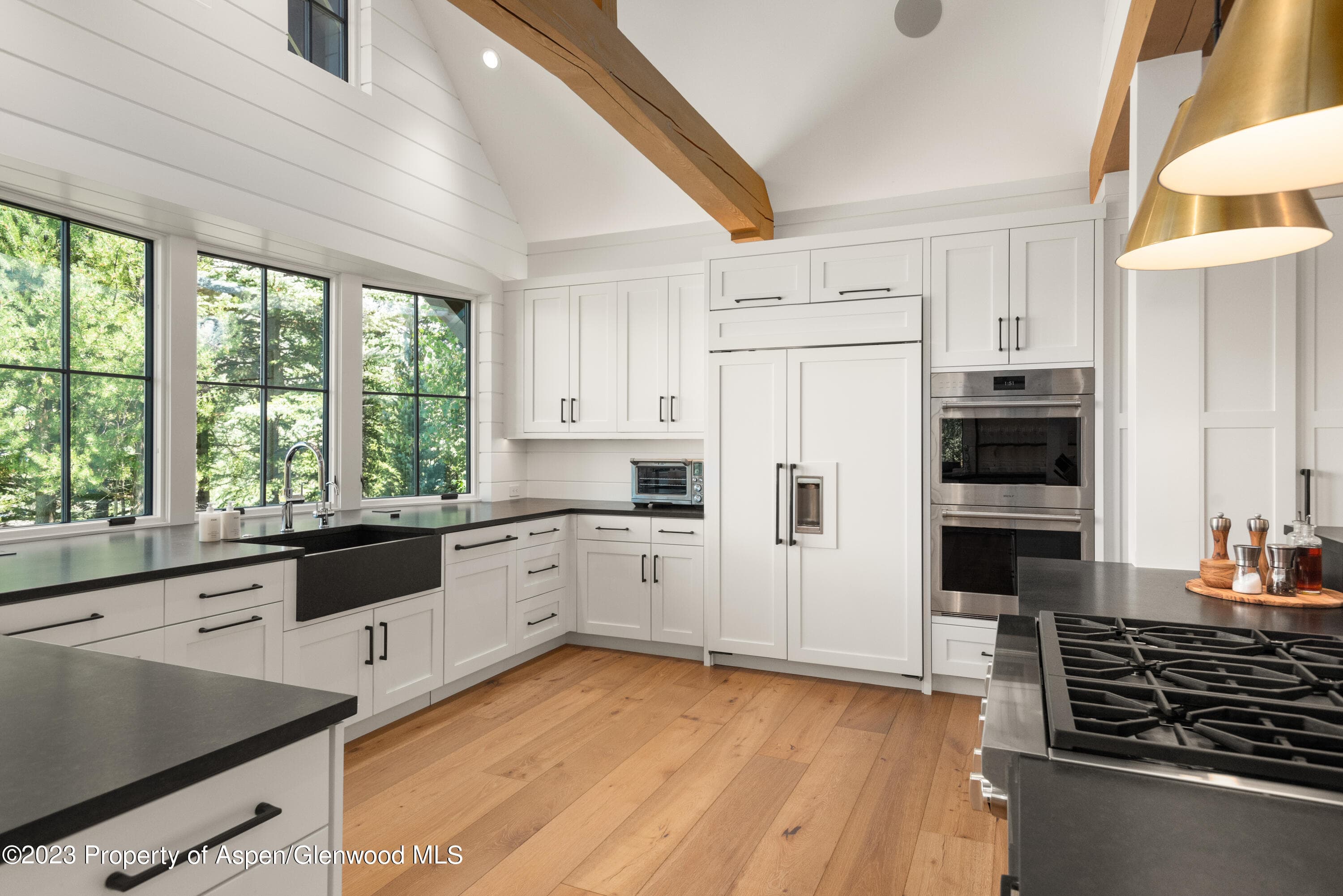 11 Heather Lane, Aspen, CO 81611 - Photo 2