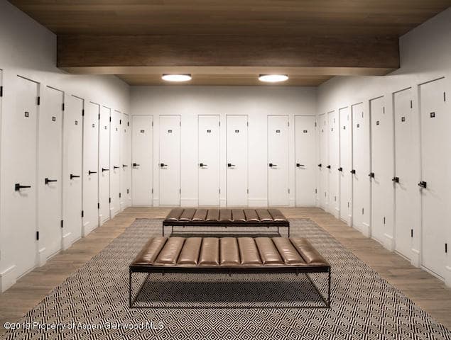205 E Durant Avenue 3f, Aspen, CO 81611 - Photo 8