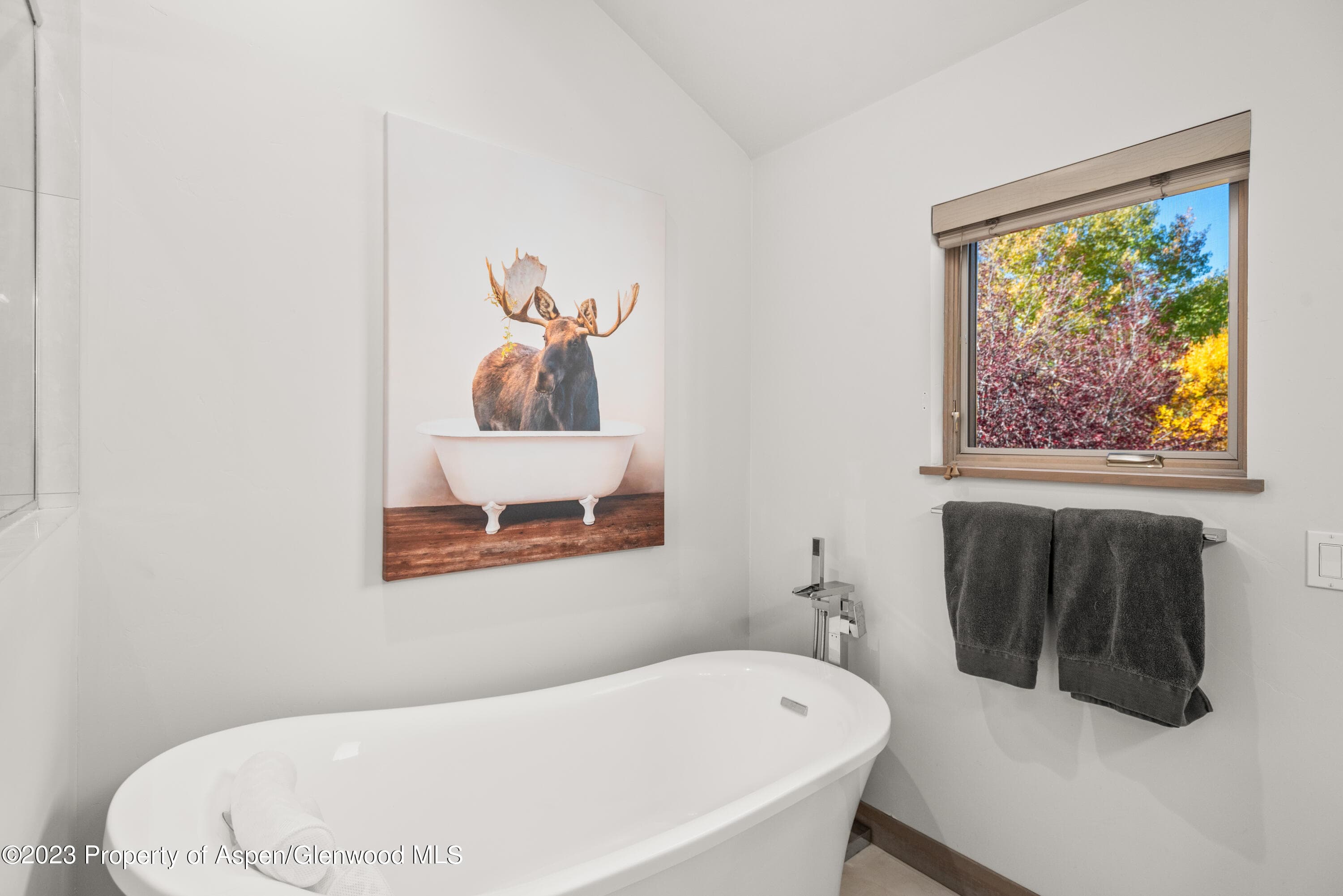 331 Branding Way, Basalt, CO 81621 - Photo 13