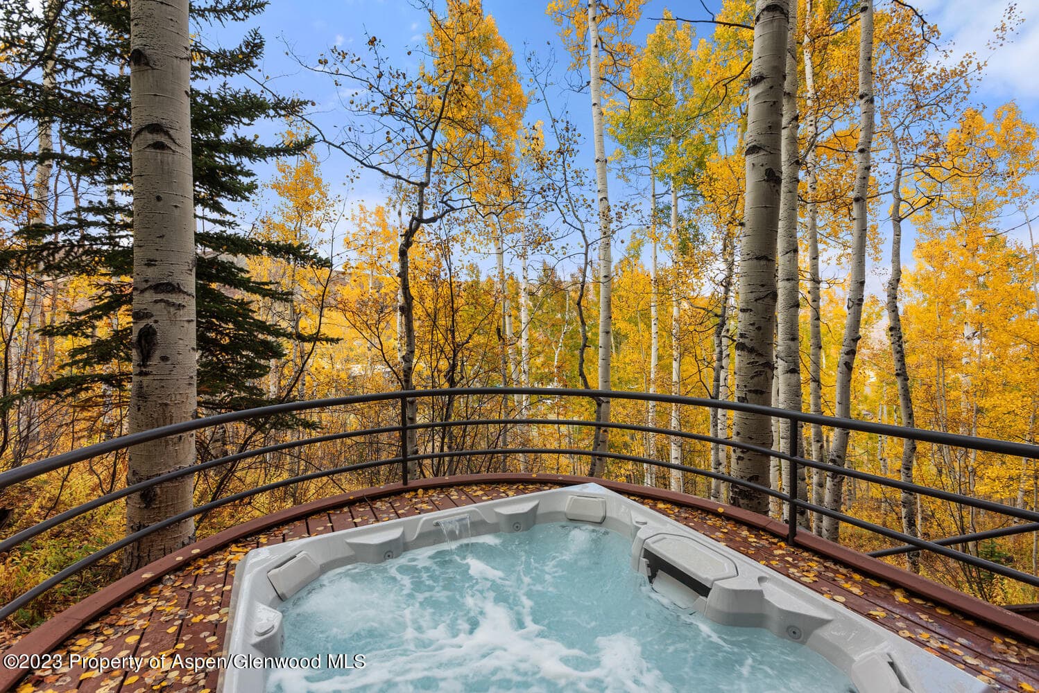 431 Edgewood Lane, Snowmass Village, CO 81615 - Photo 56