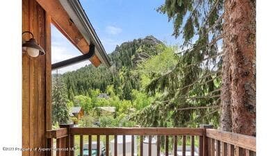 519 W Main Street D-101, Aspen, CO 81611 - Photo 16