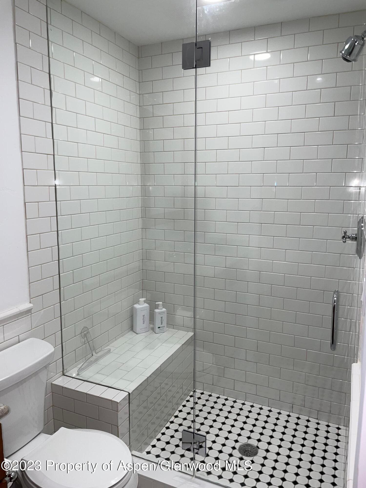 519 W Main Street D-101, Aspen, CO 81611 - Photo 12