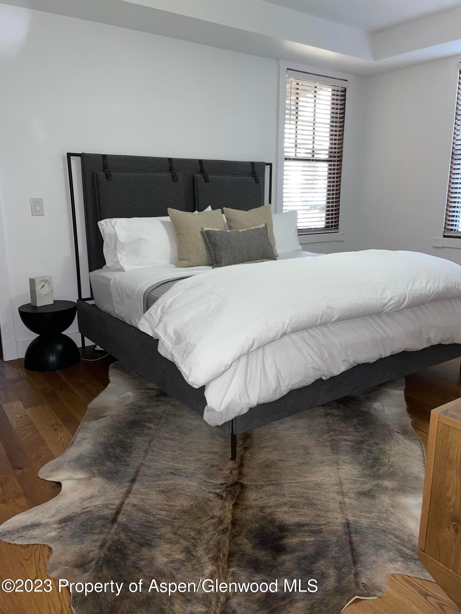 519 W Main Street D-101, Aspen, CO 81611 - Photo 6