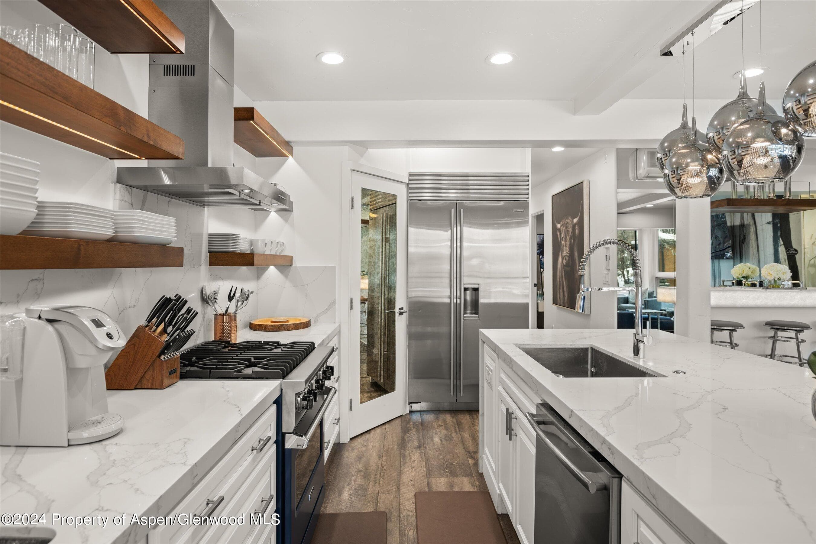 748 S Galena Street 2D, Aspen, CO 81611 - Photo 9