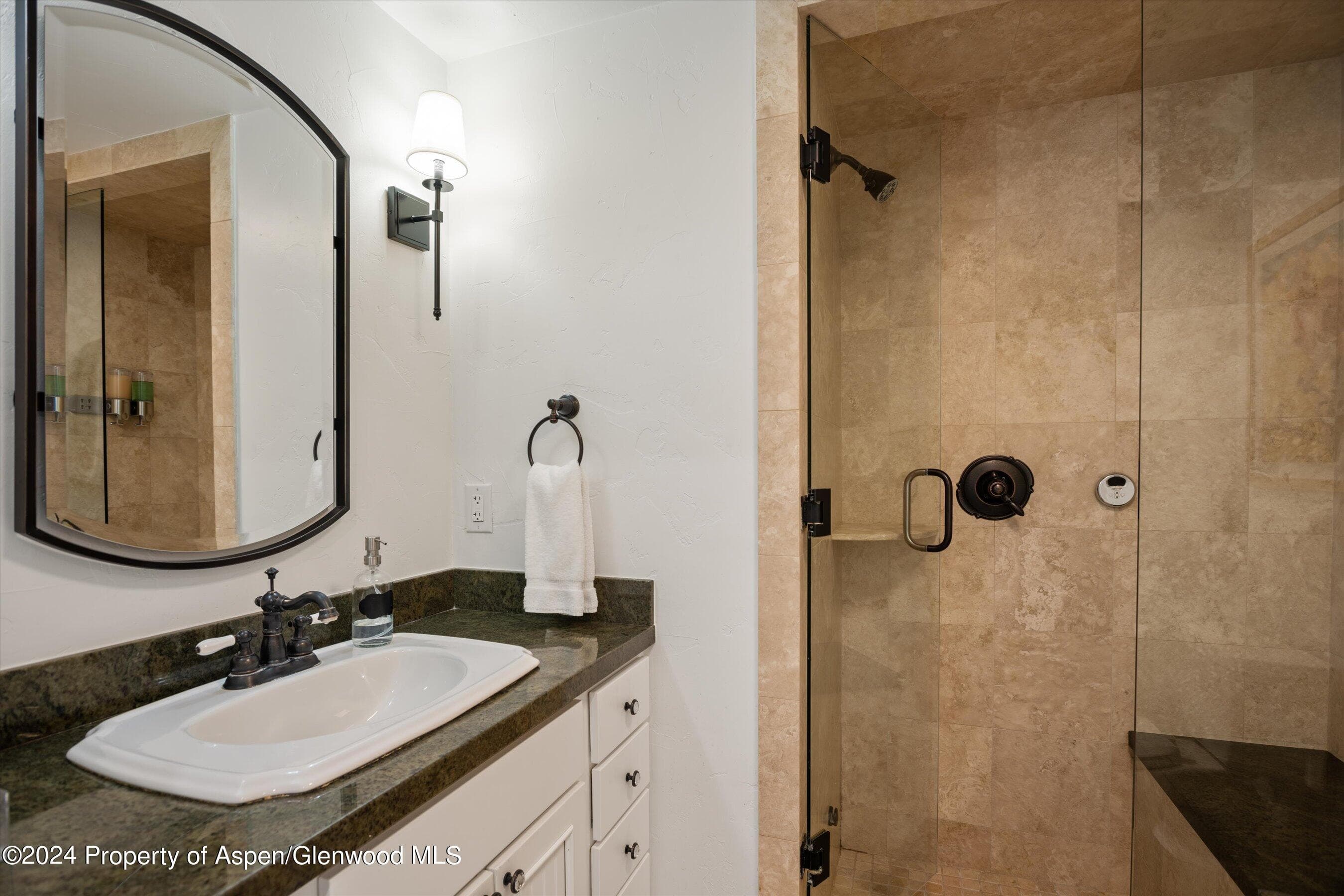 748 S Galena Street 2D, Aspen, CO 81611 - Photo 20