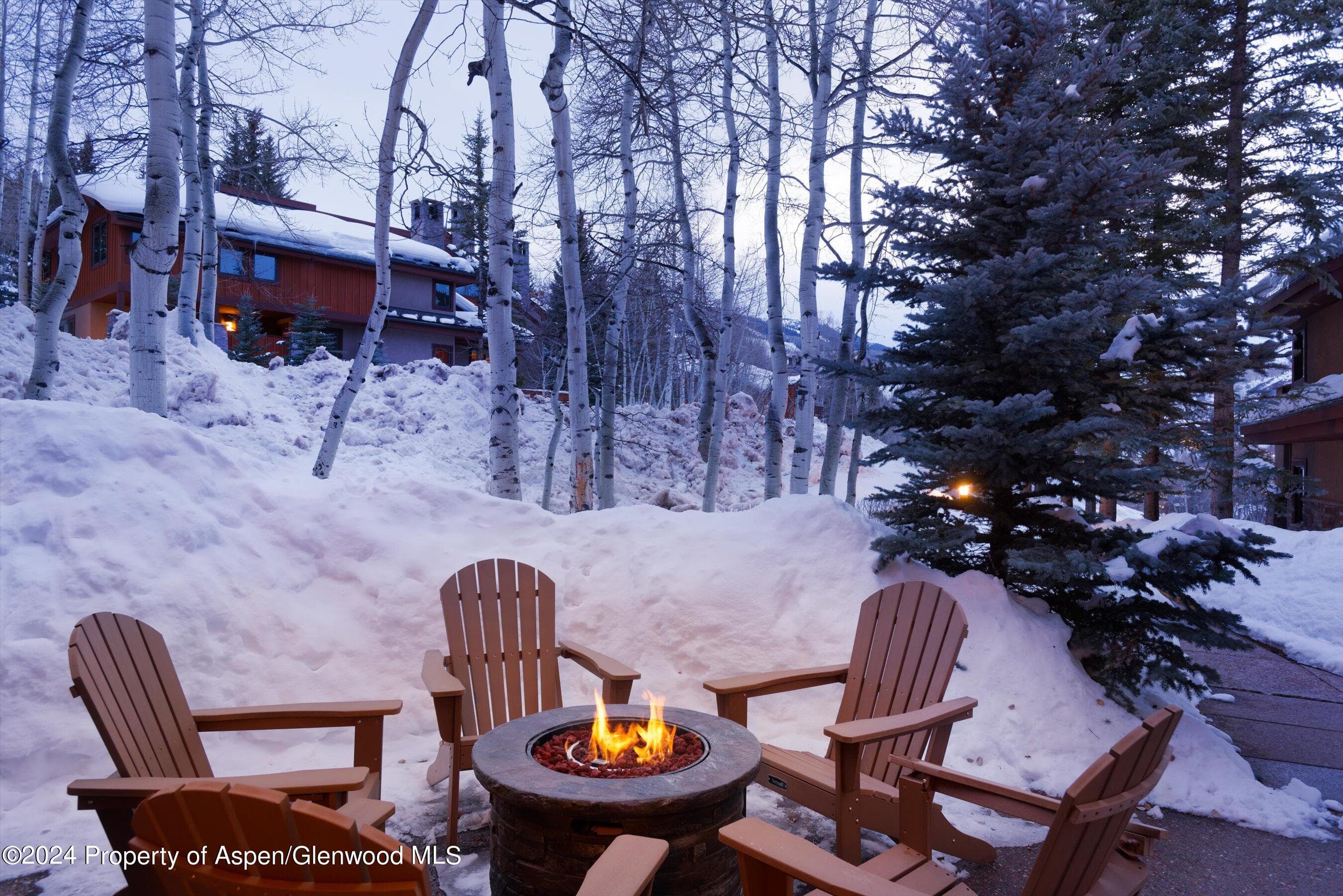 227 Faraway Road 38, Snowmass Village, CO 81615 - Photo 41