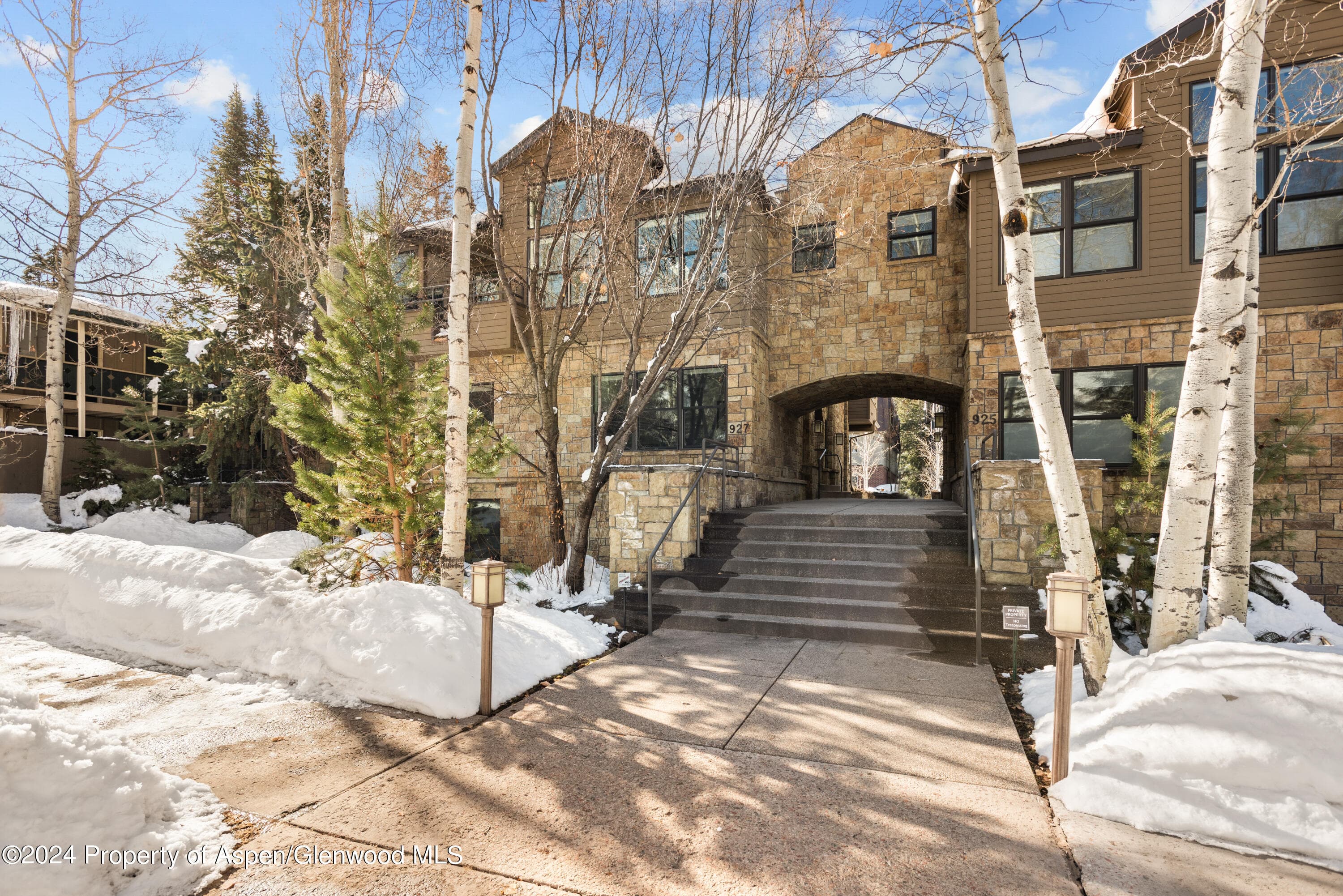 927 E Durant Avenue 3, Aspen, CO 81611 - Photo 44