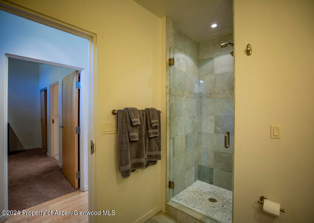 231 Robinson Street 330, Basalt, CO 81621 - Photo 27