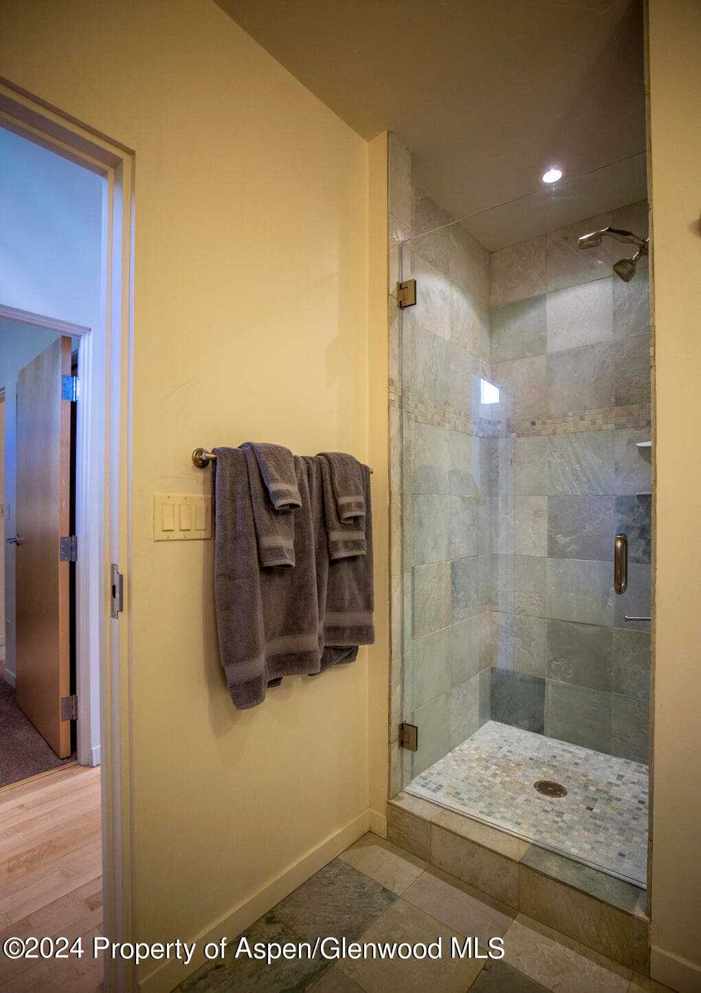 231 Robinson Street 330, Basalt, CO 81621 - Photo 29