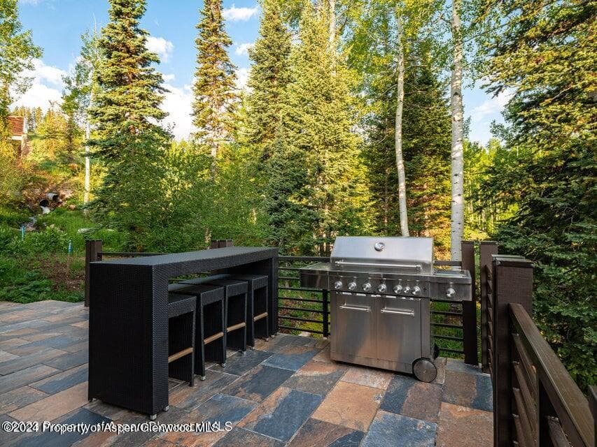 1457 Wood Road, Snowmass Village, CO 81615 - Photo 50