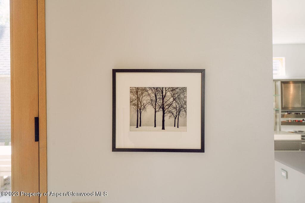 1006 E Cooper Avenue, Aspen, CO 81611 - Photo 12