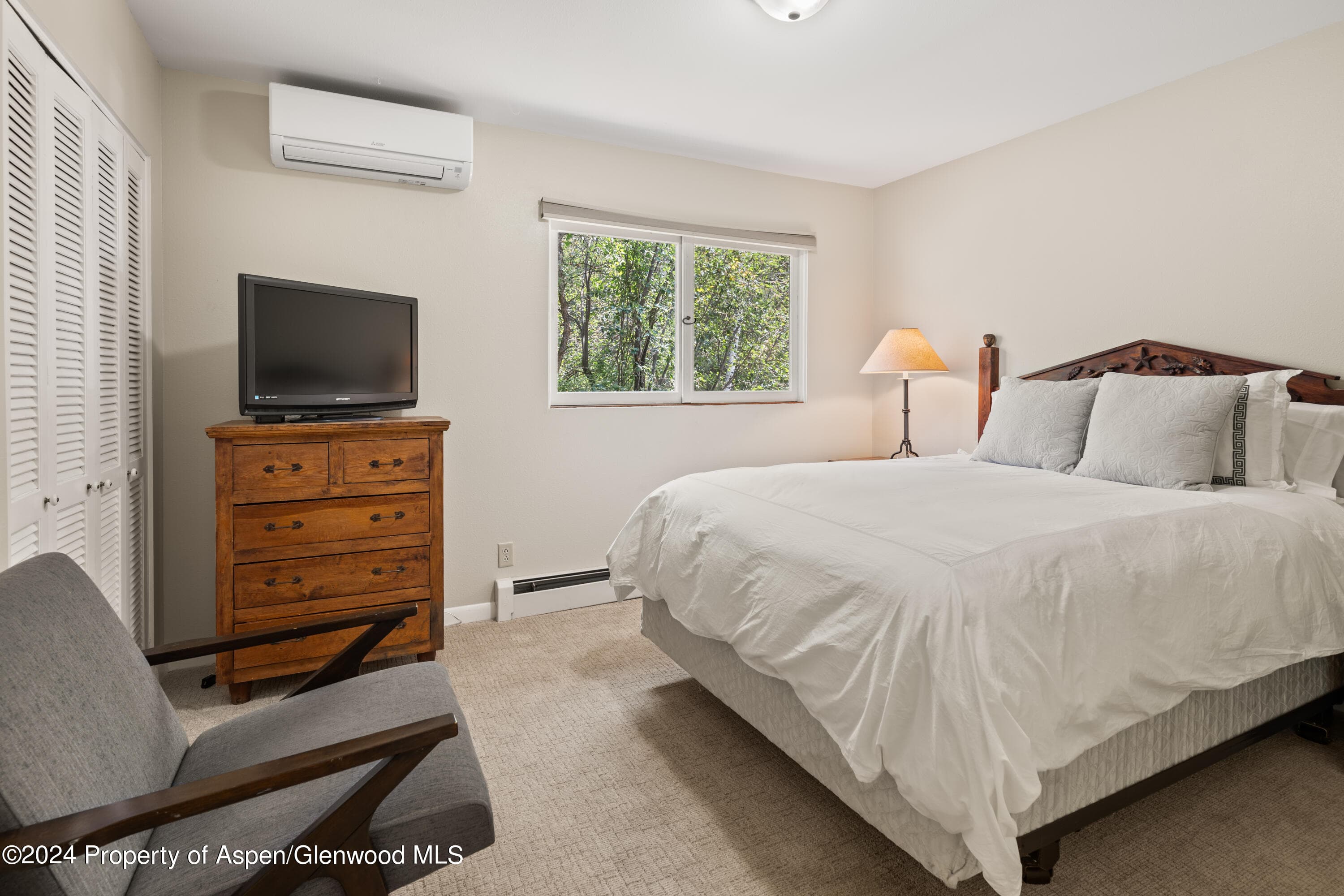 154 E Lupine Drive, Aspen, CO 81611 - Photo 21