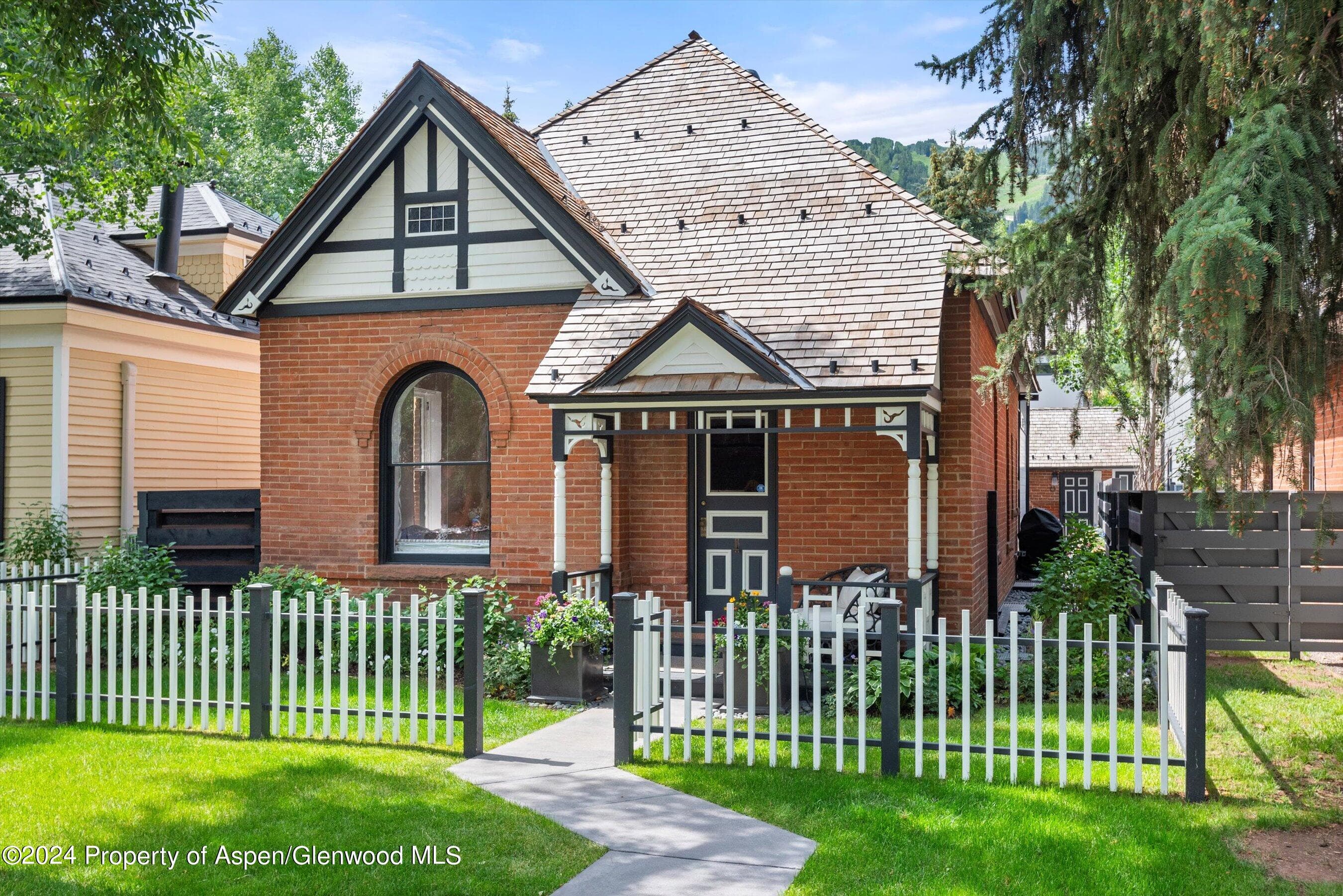 105 E Hallam Street, Aspen, CO 81611 - Photo 45
