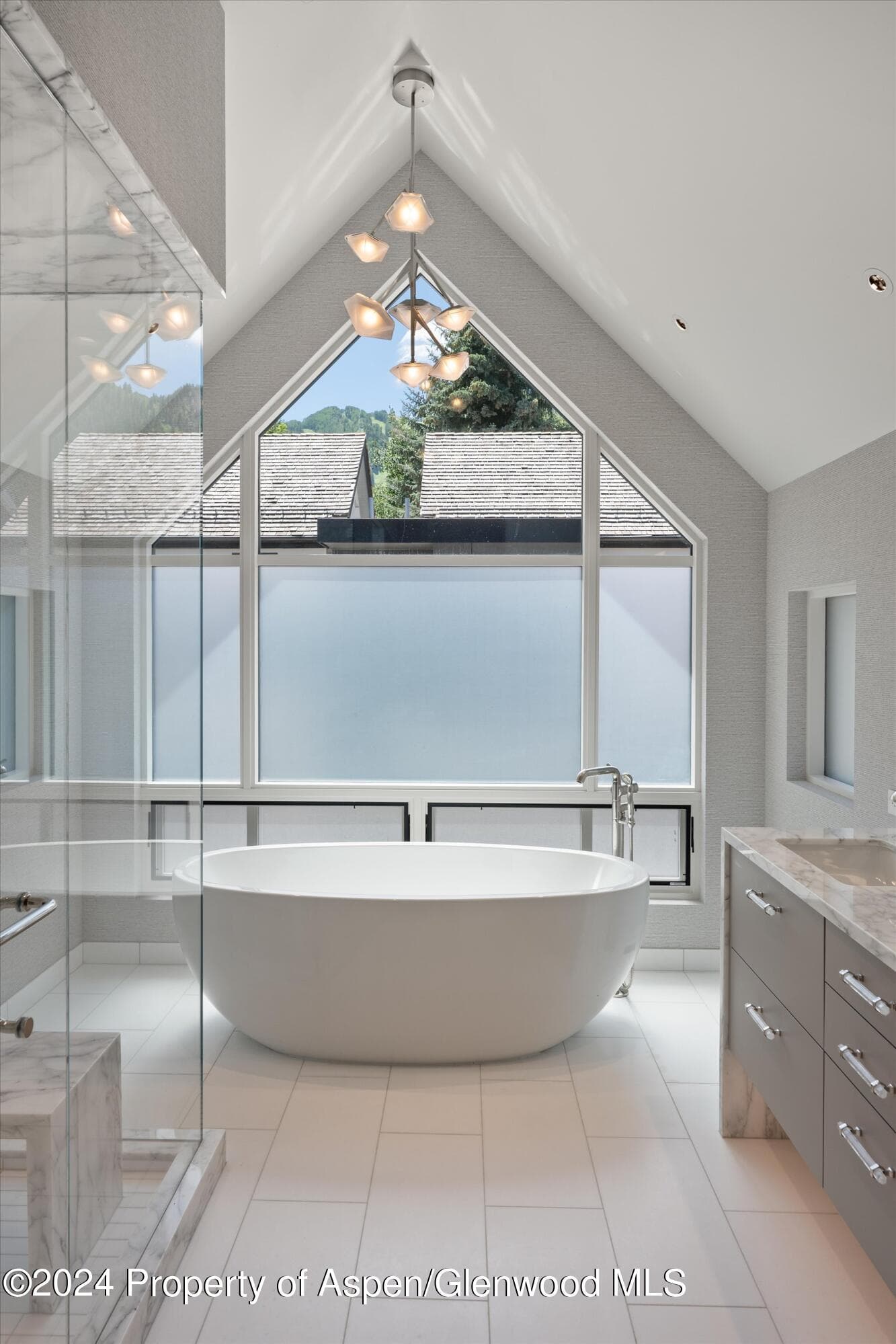 105 E Hallam Street, Aspen, CO 81611 - Photo 17