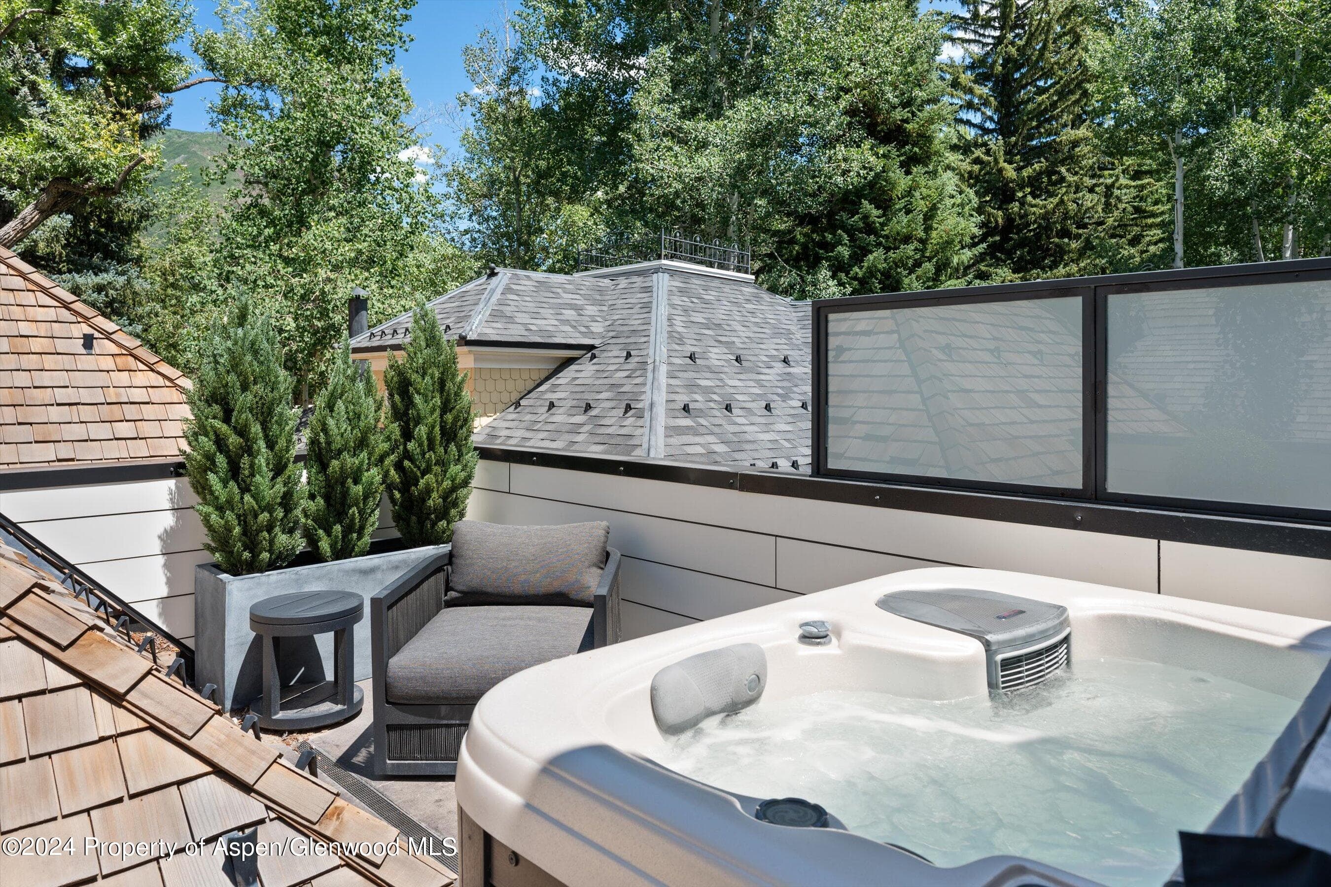 105 E Hallam Street, Aspen, CO 81611 - Photo 36