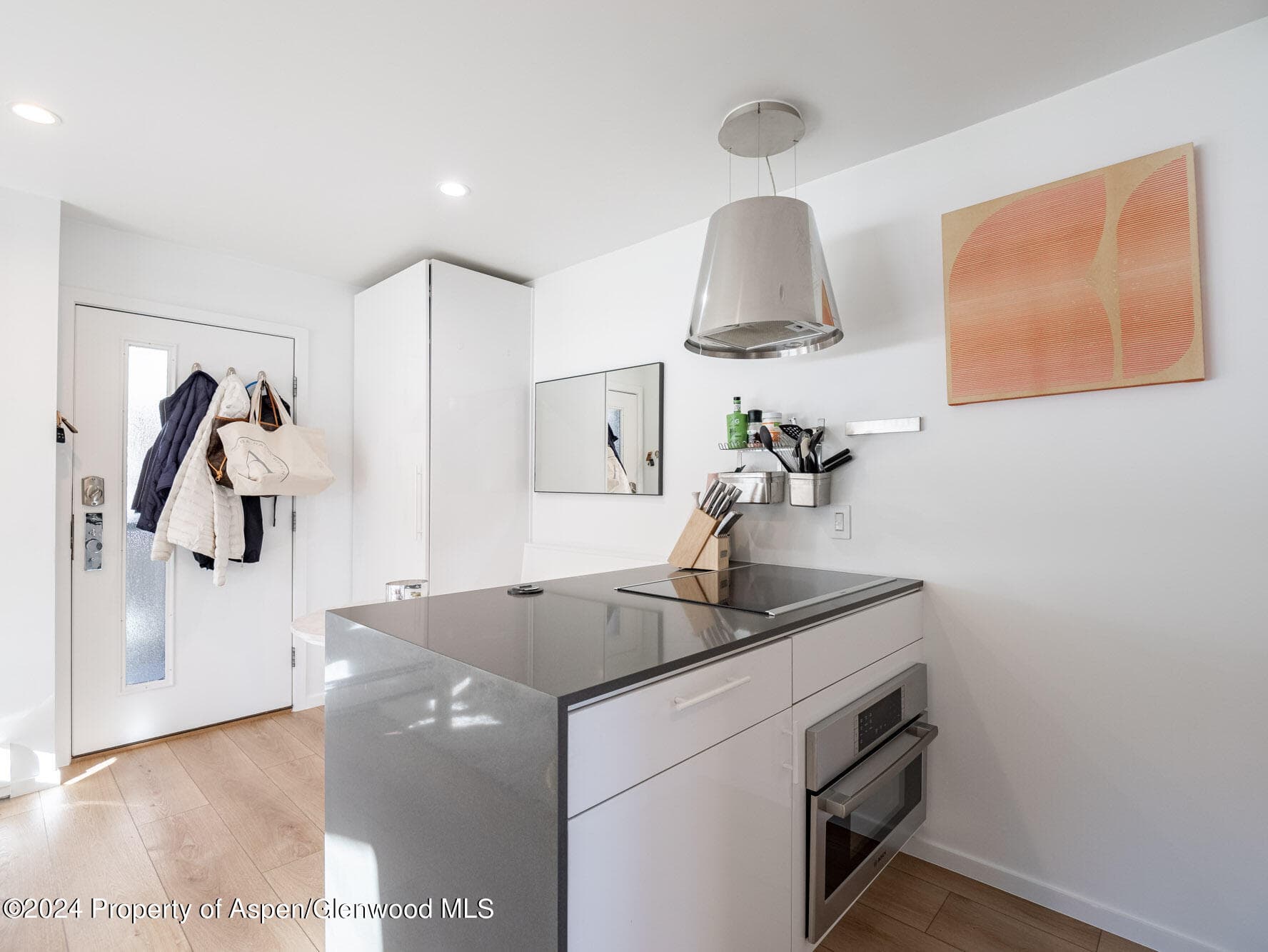 700 W Hopkins Avenue 6, Aspen, CO 81611 - Photo 4