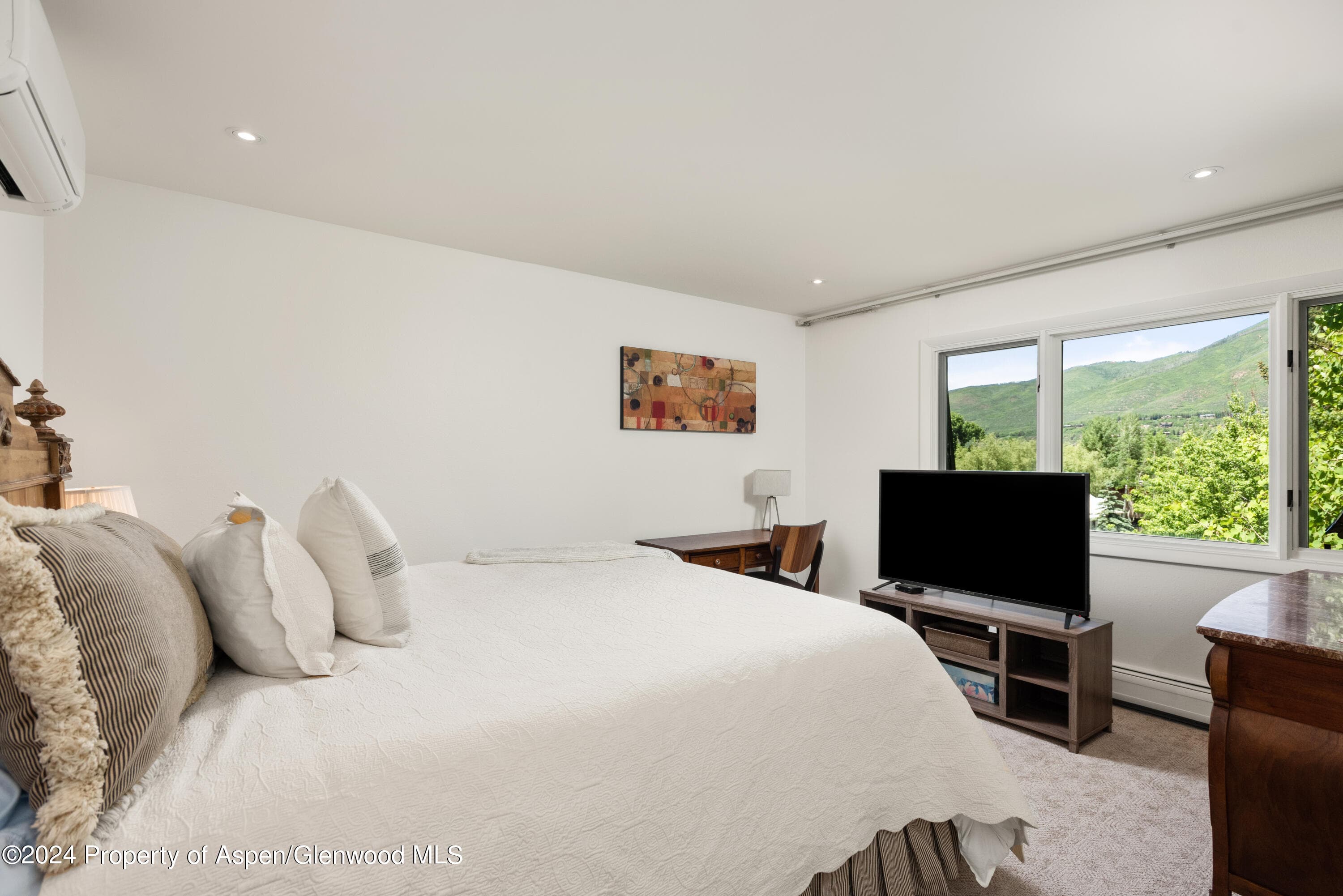 205 E Durant Avenue 3f, Aspen, CO 81611 - Photo 10