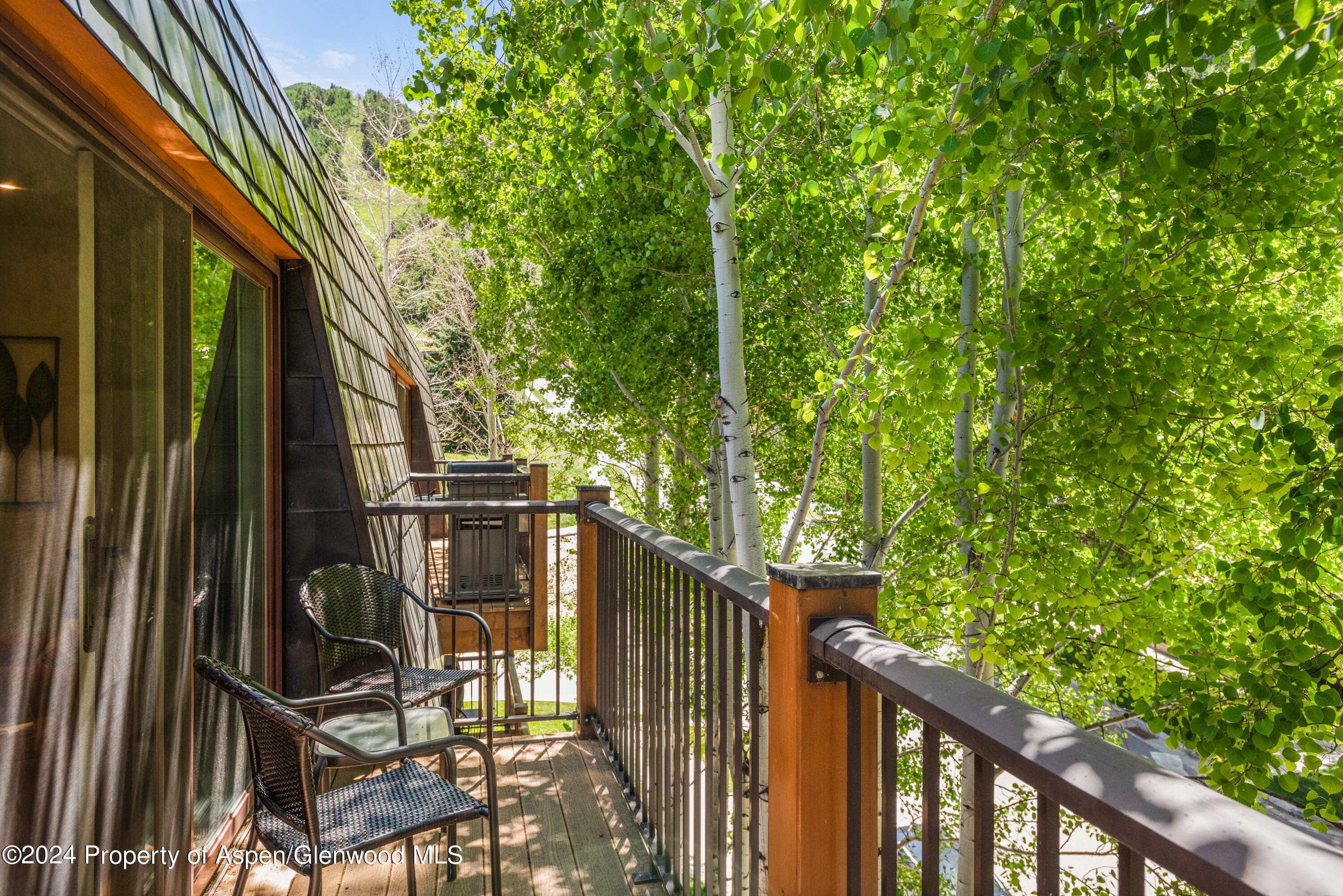 205 E Durant Avenue 3f, Aspen, CO 81611 - Photo 18