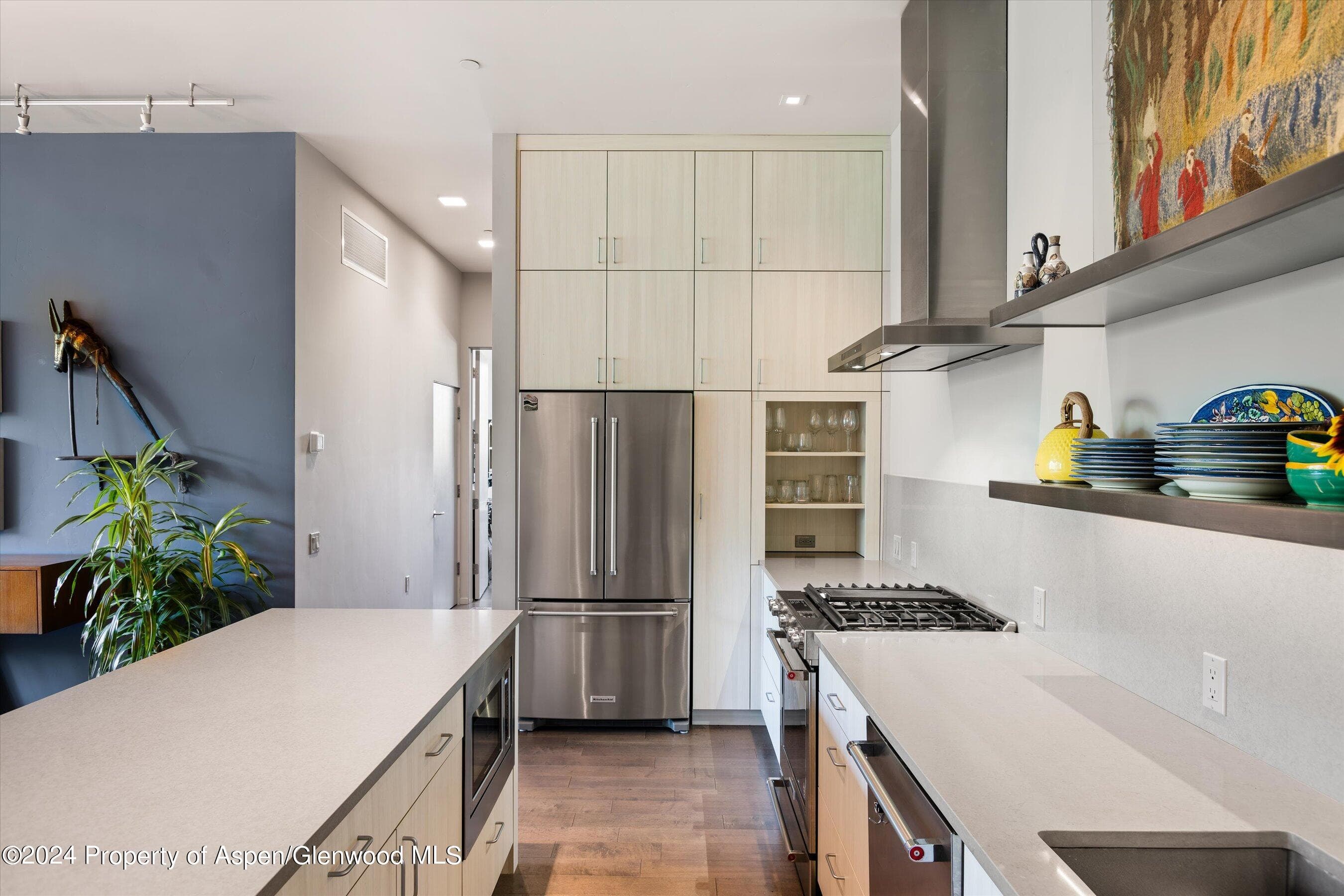 102 Evans Road 103, Basalt, CO 81621 - Photo 4