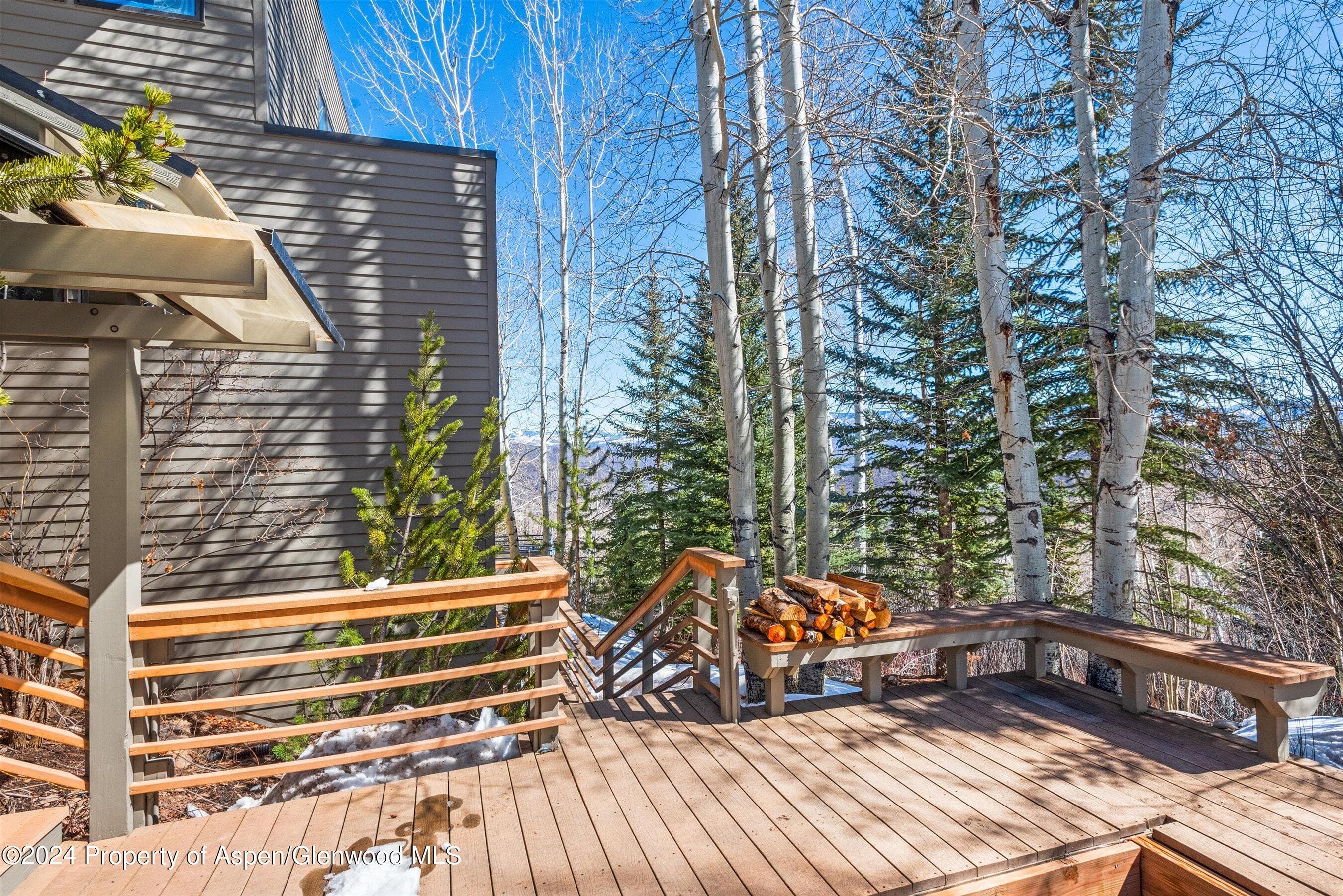 964 Faraway Road, Snowmass Village, CO 81615 - Photo 15