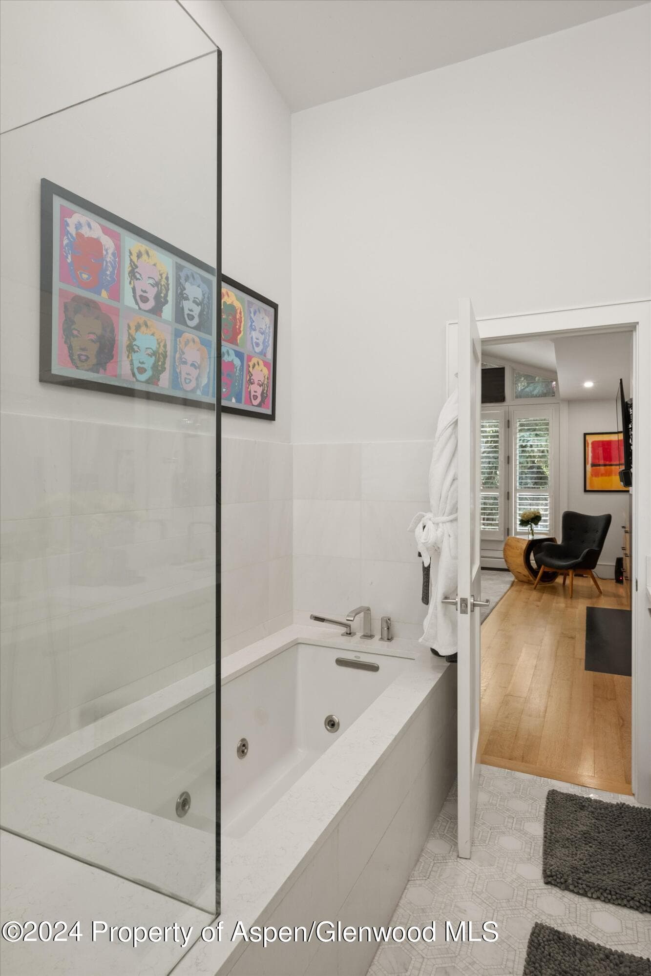 812 E Cooper Avenue, Aspen, CO 81611 - Photo 29
