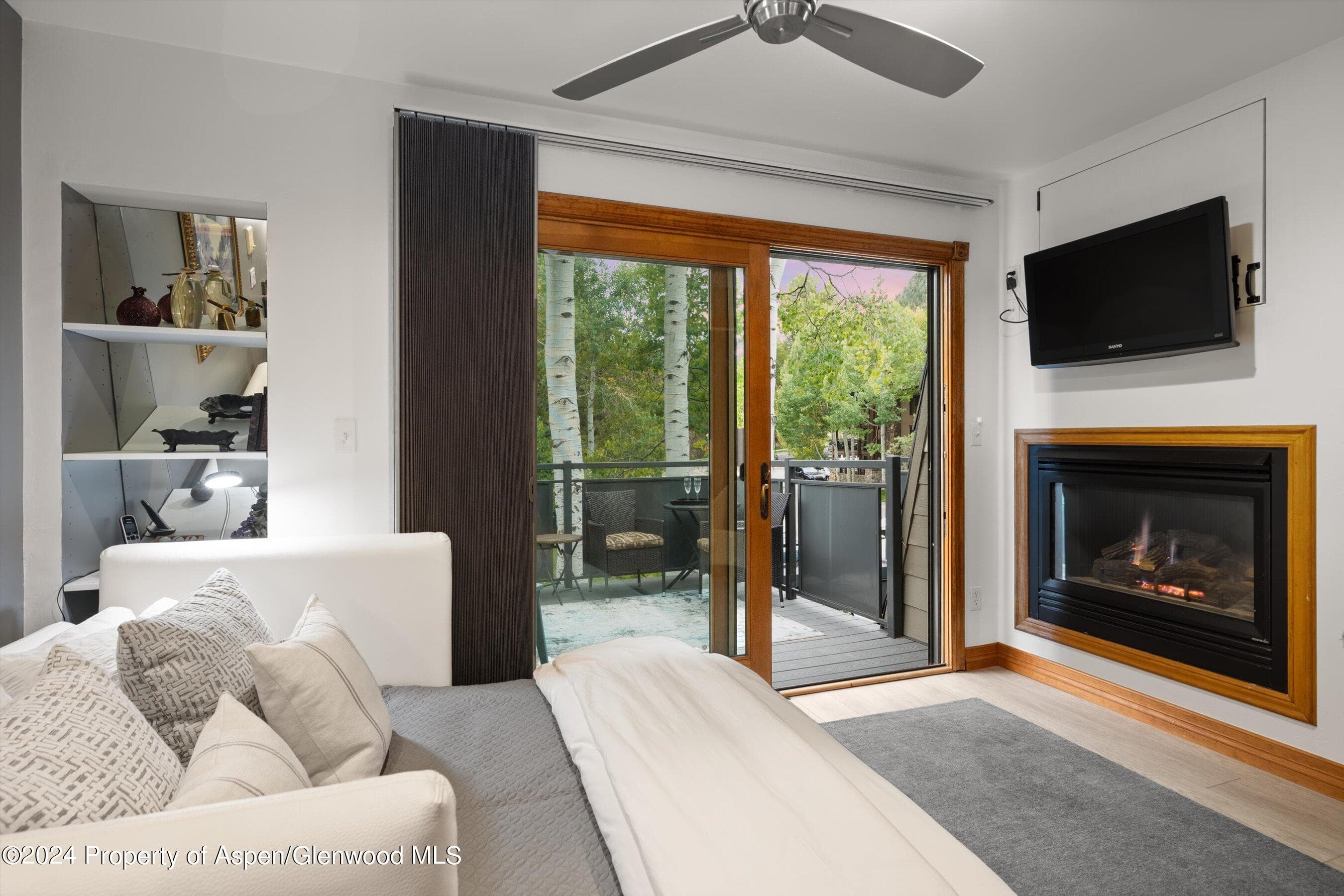 124 E Durant Avenue Unit 10, Aspen, CO 81611 - Photo 11