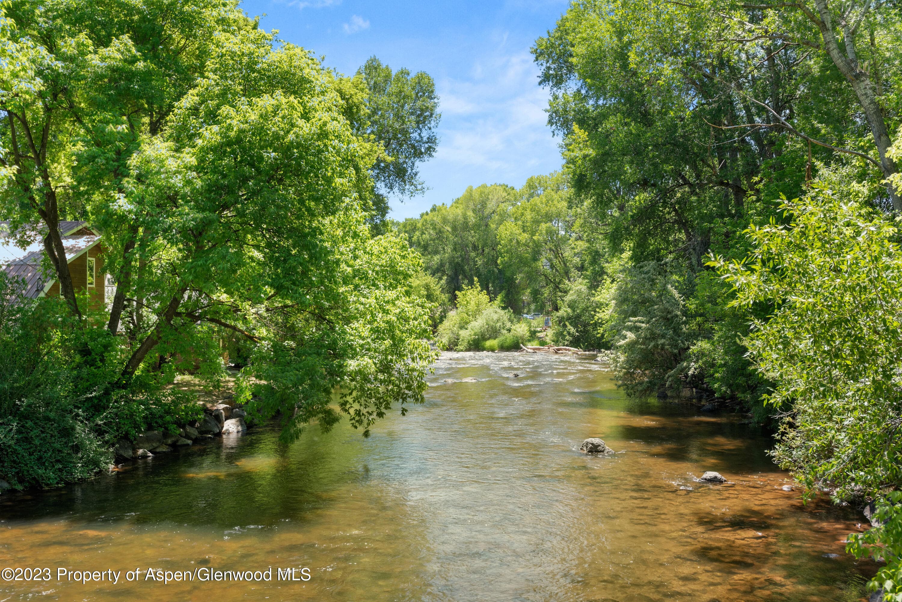 229 Midland Avenue D2, Basalt, CO 81621 - Photo 13