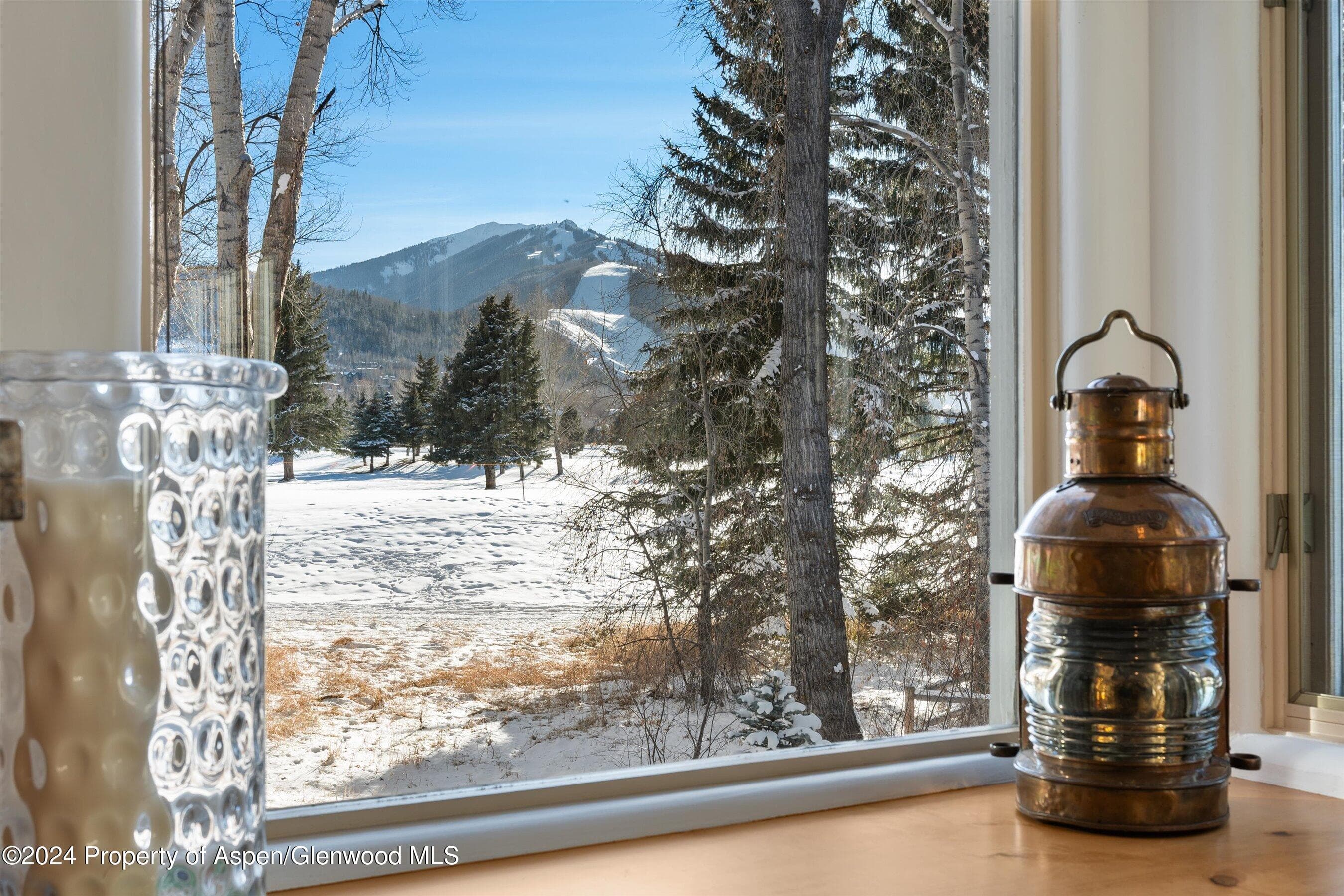825 Cemetery Lane 2, Aspen, CO 81611 - Photo 18