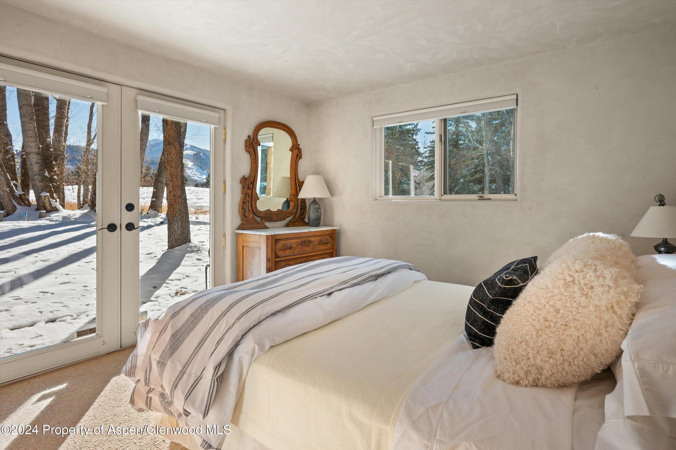 825 Cemetery Lane 2, Aspen, CO 81611 - Photo 30