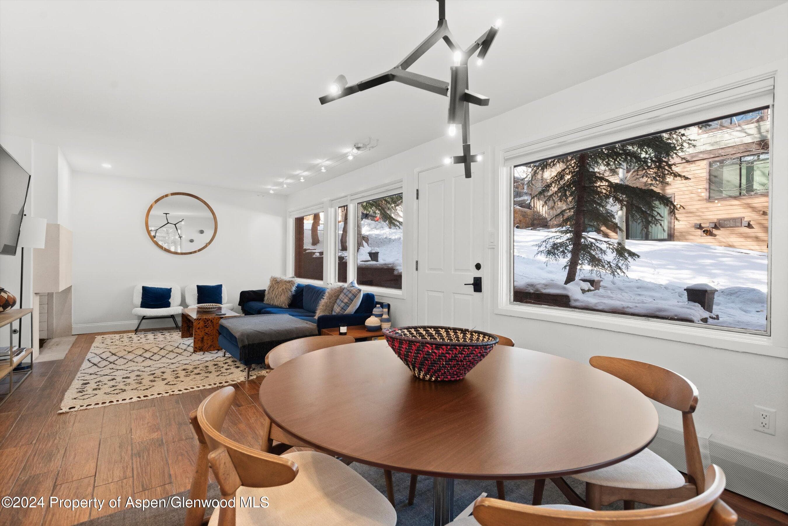 731 S Mill Street 1A, Aspen, CO 81611 - Photo 3