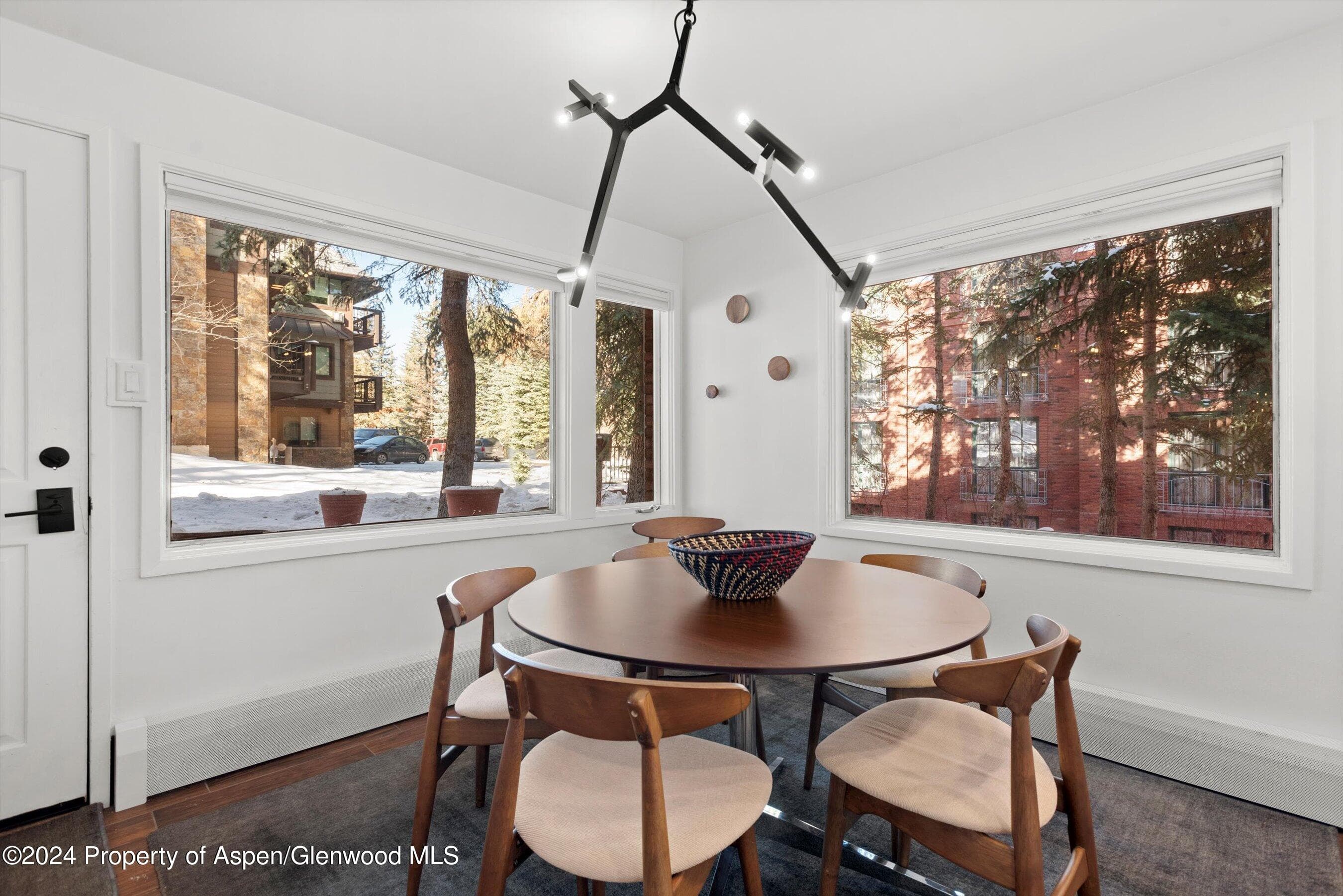 731 S Mill Street 1A, Aspen, CO 81611 - Photo 4