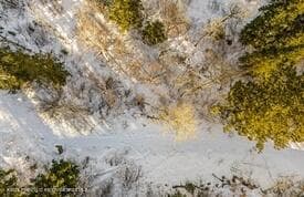 Lot 4 Bear Lane, Glenwood Springs, CO 81601 - Photo 12