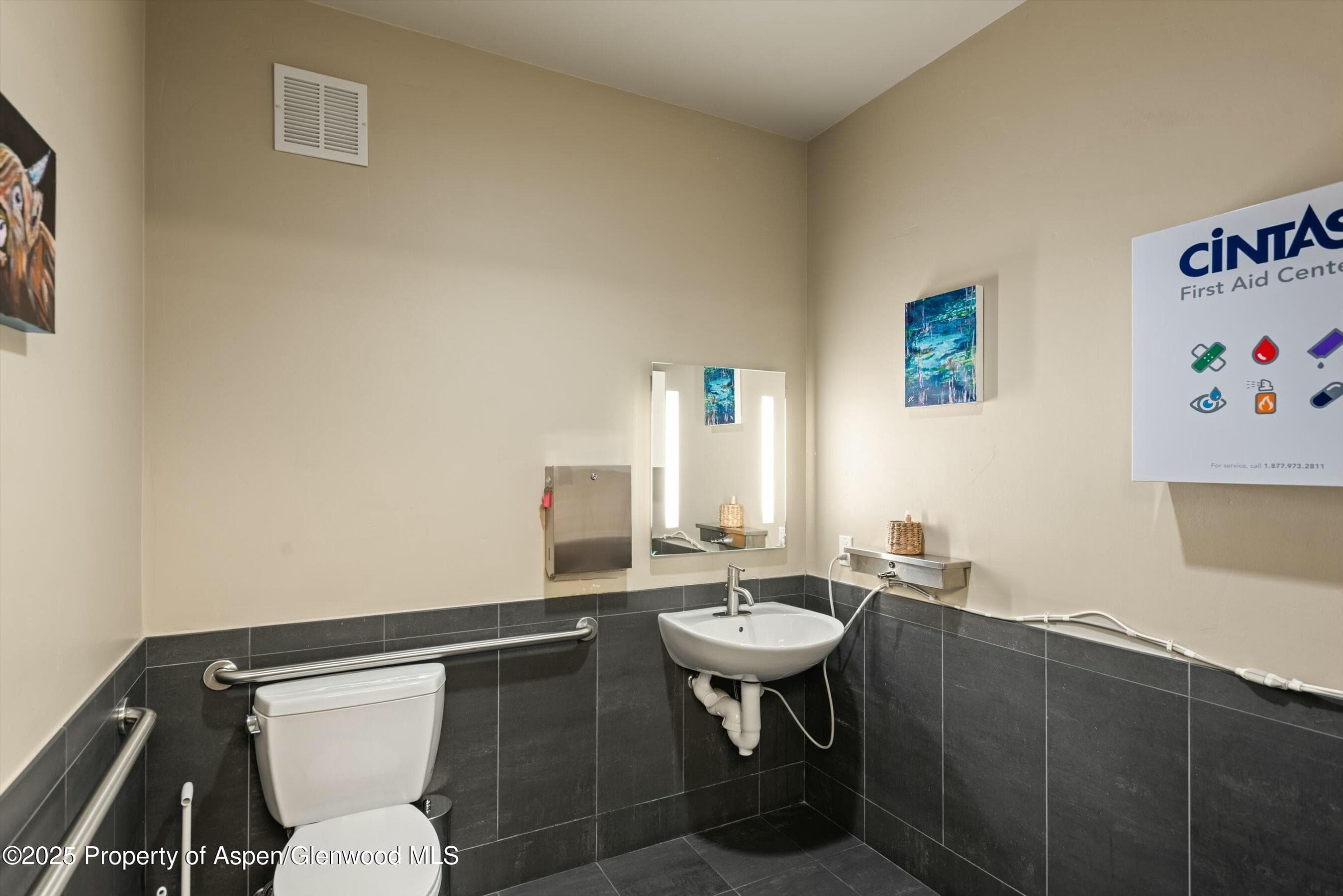 601 Rio Grande Place, Aspen, CO 81611 - Photo 36