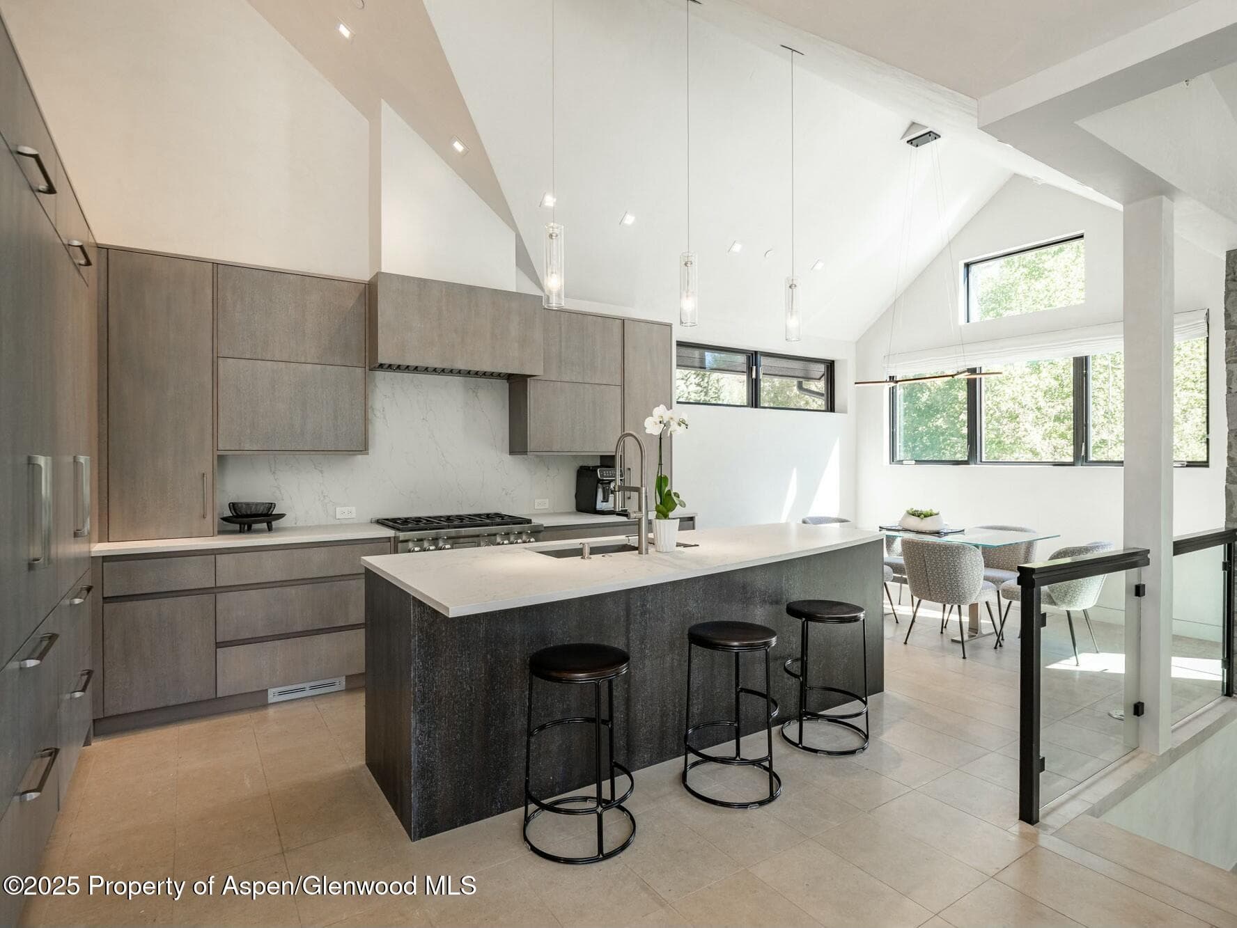 1154 E Cooper Avenue, Aspen, CO 81611 - Photo 9