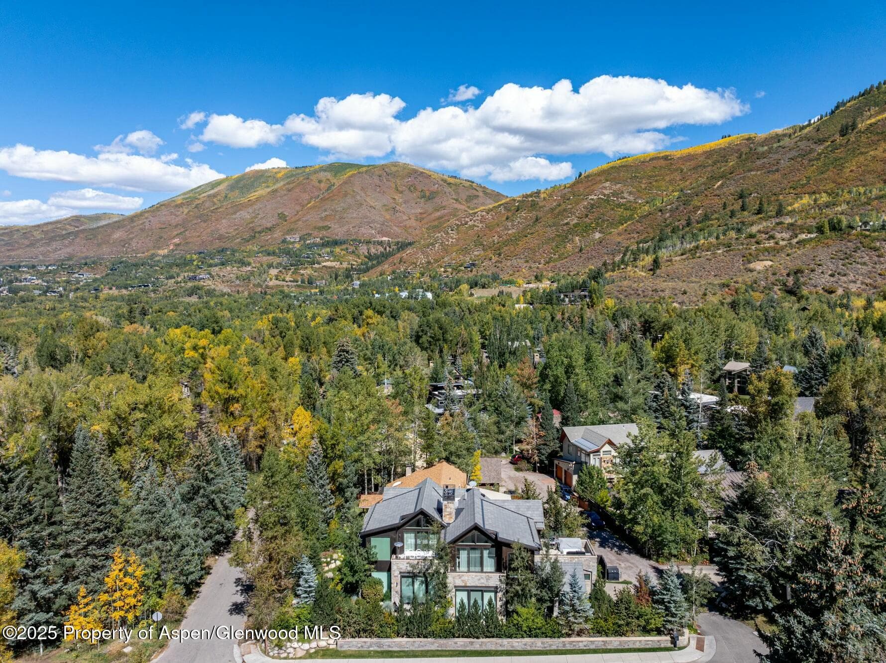 1154 E Cooper Avenue, Aspen, CO 81611 - Photo 30