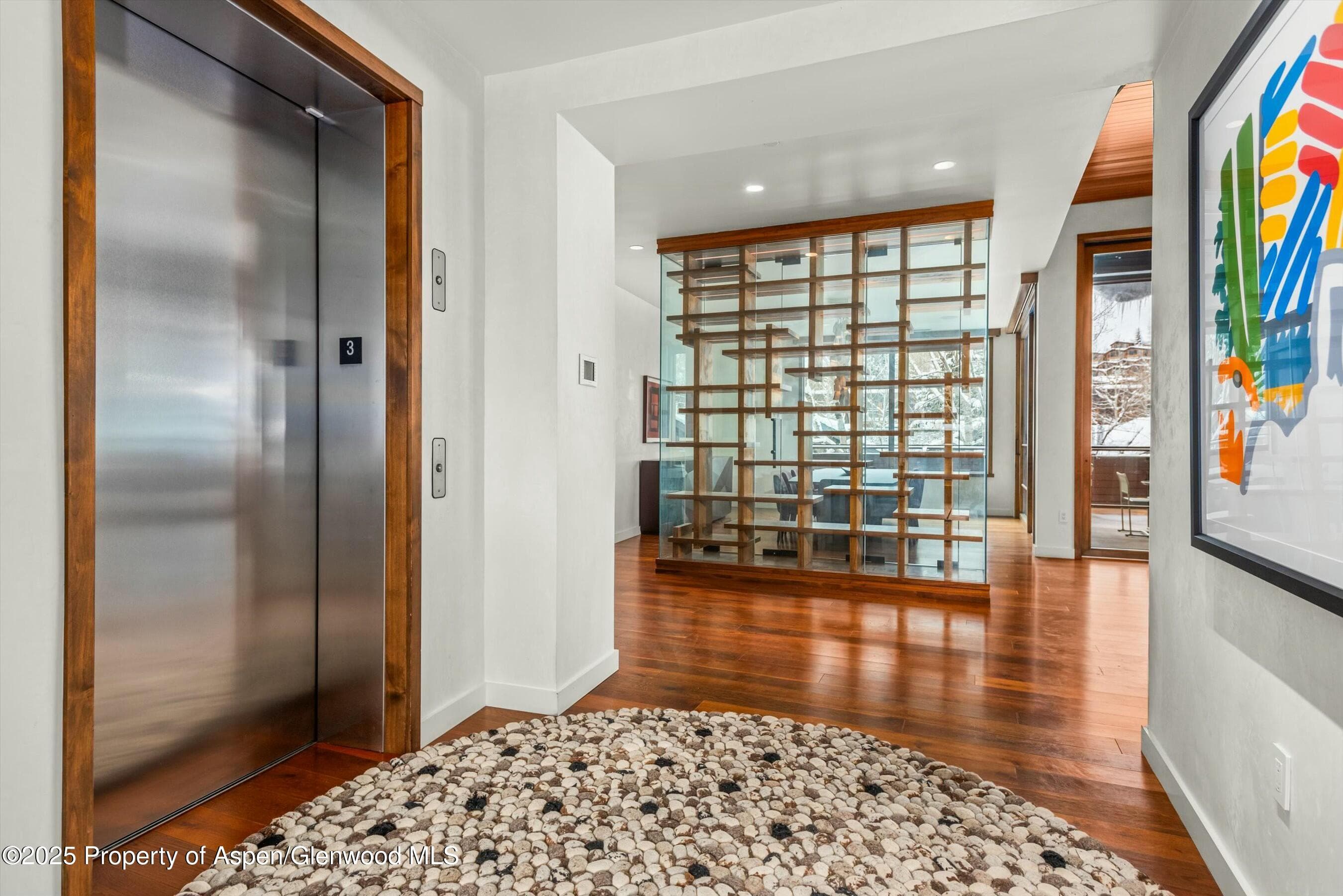 233 E Cooper Avenue 301, Aspen, CO 81611 - Photo 3