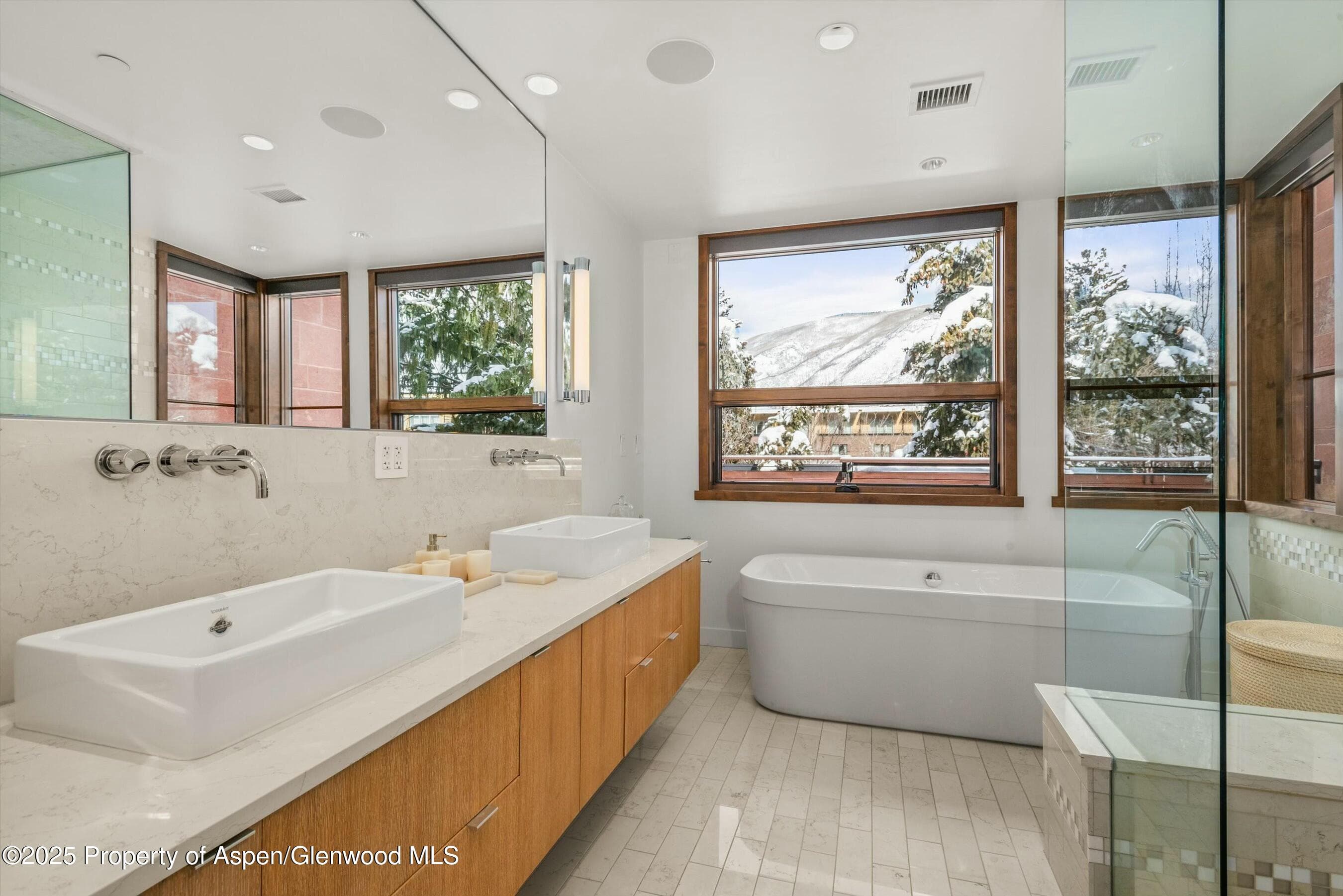 233 E Cooper Avenue 301, Aspen, CO 81611 - Photo 19
