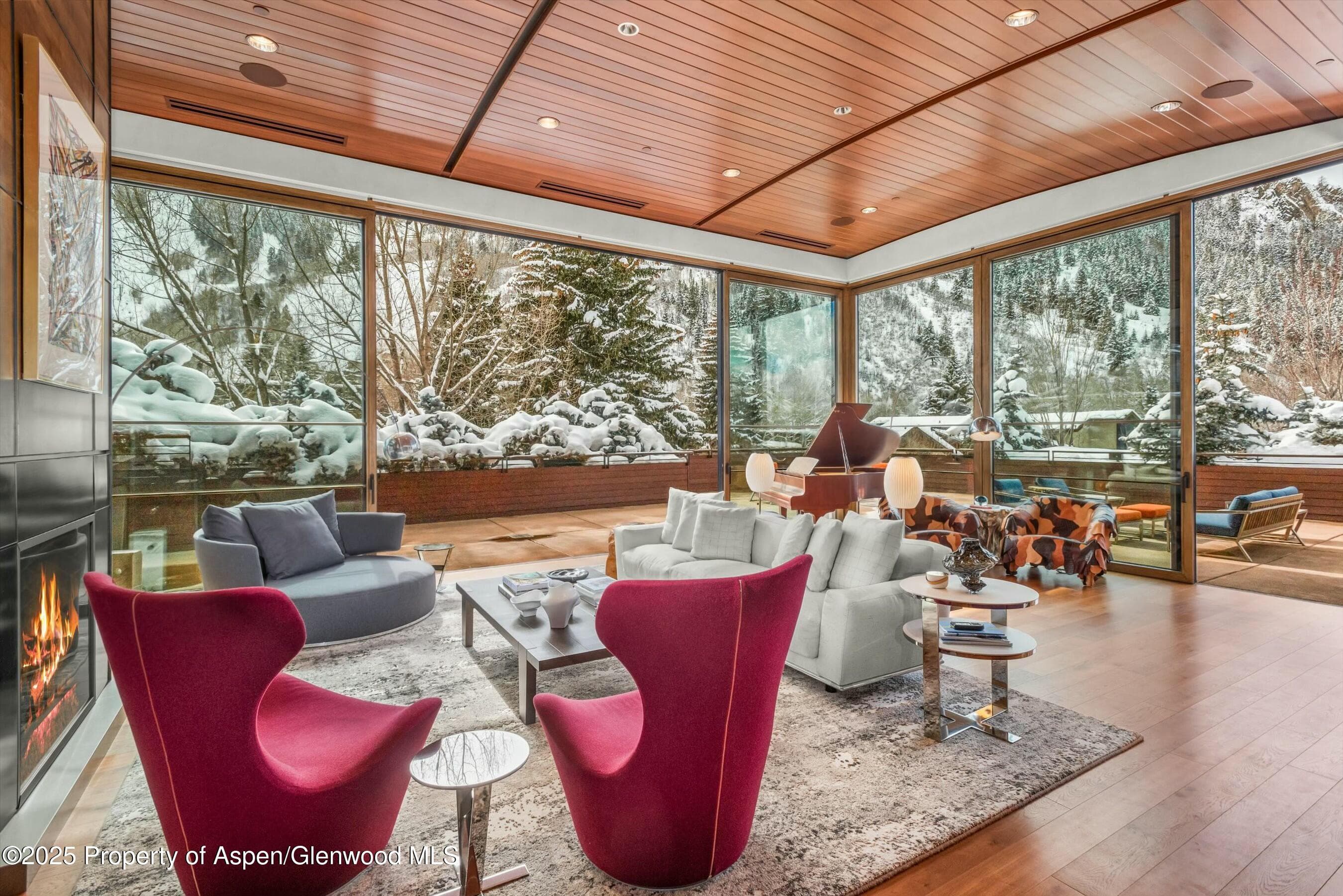 233 E Cooper Avenue 301, Aspen, CO 81611 - Photo 9