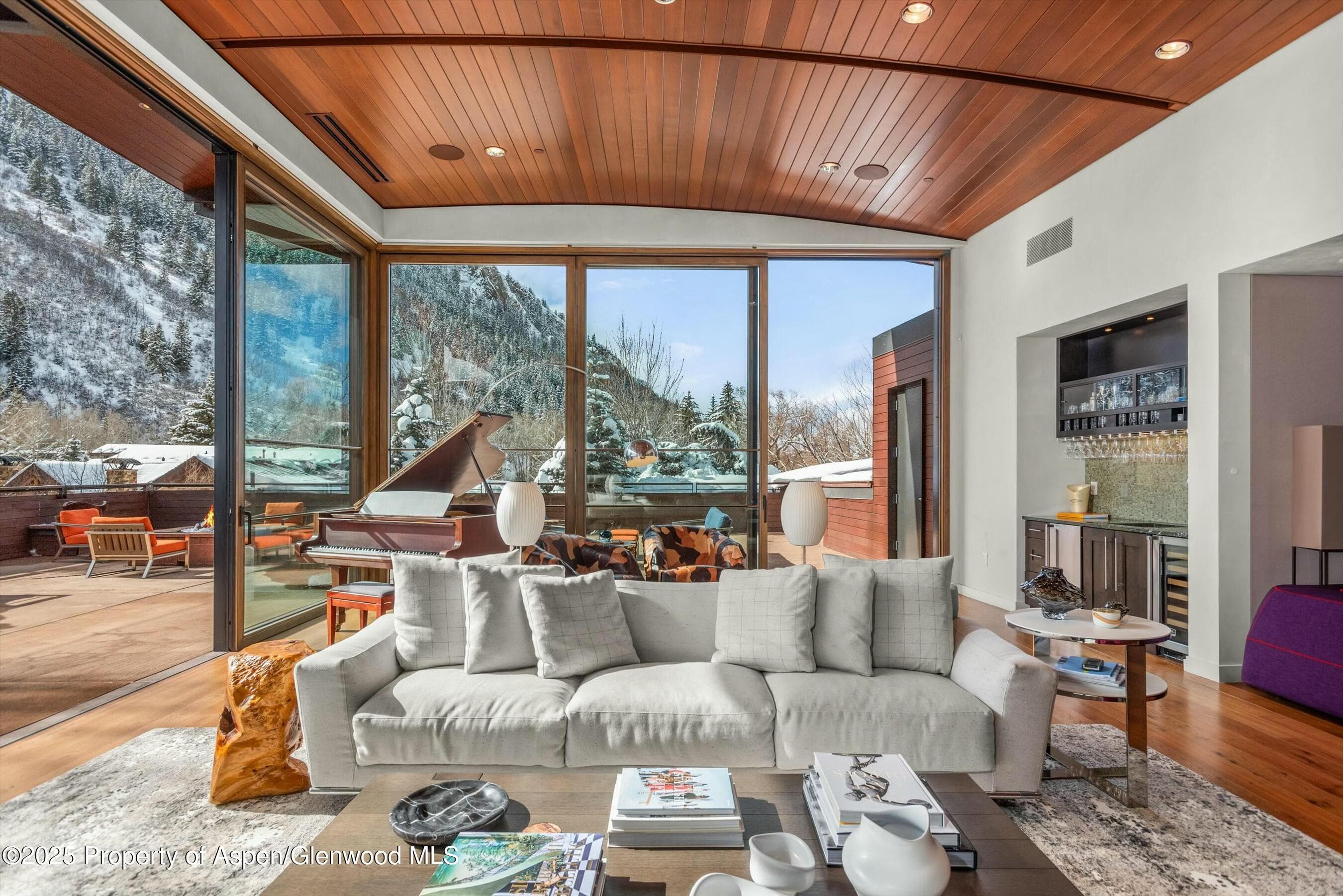 233 E Cooper Avenue 301, Aspen, CO 81611 - Photo 10